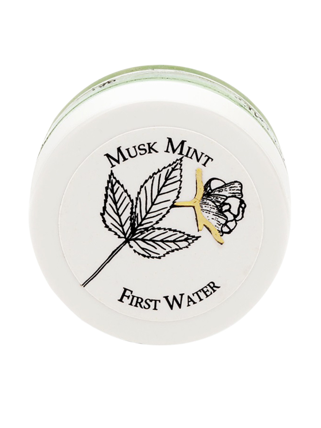 

FIRST WATER Musk Mint Solid Perfume - 10 ml, Green