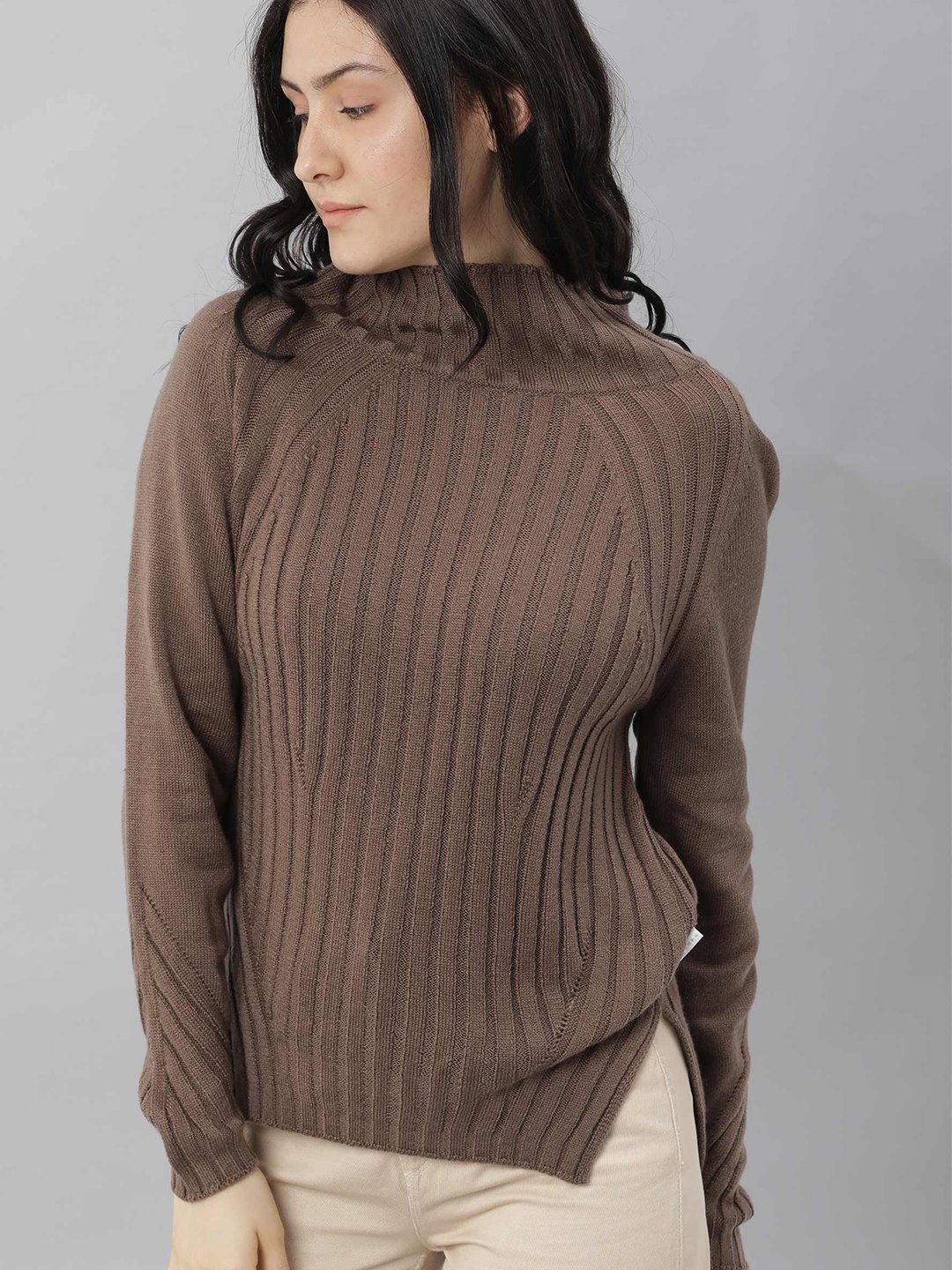 

RAREISM Women Brown Self Design Ribbed Pullover Sweater