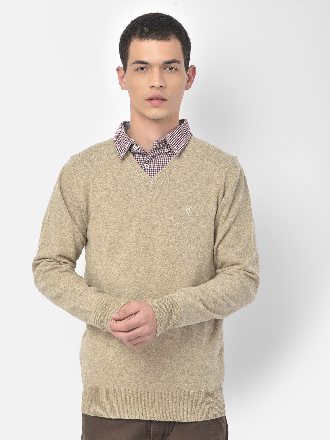 

Woodland Men Beige Pullover