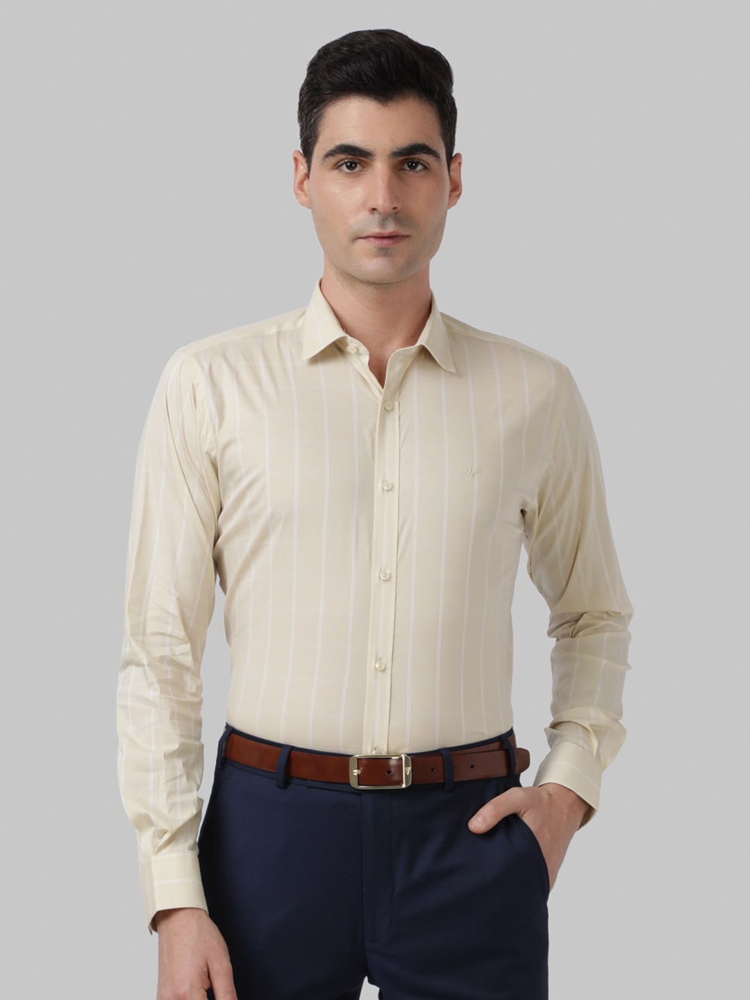 

Park Avenue Men Beige Slim Fit Striped Formal Shirt