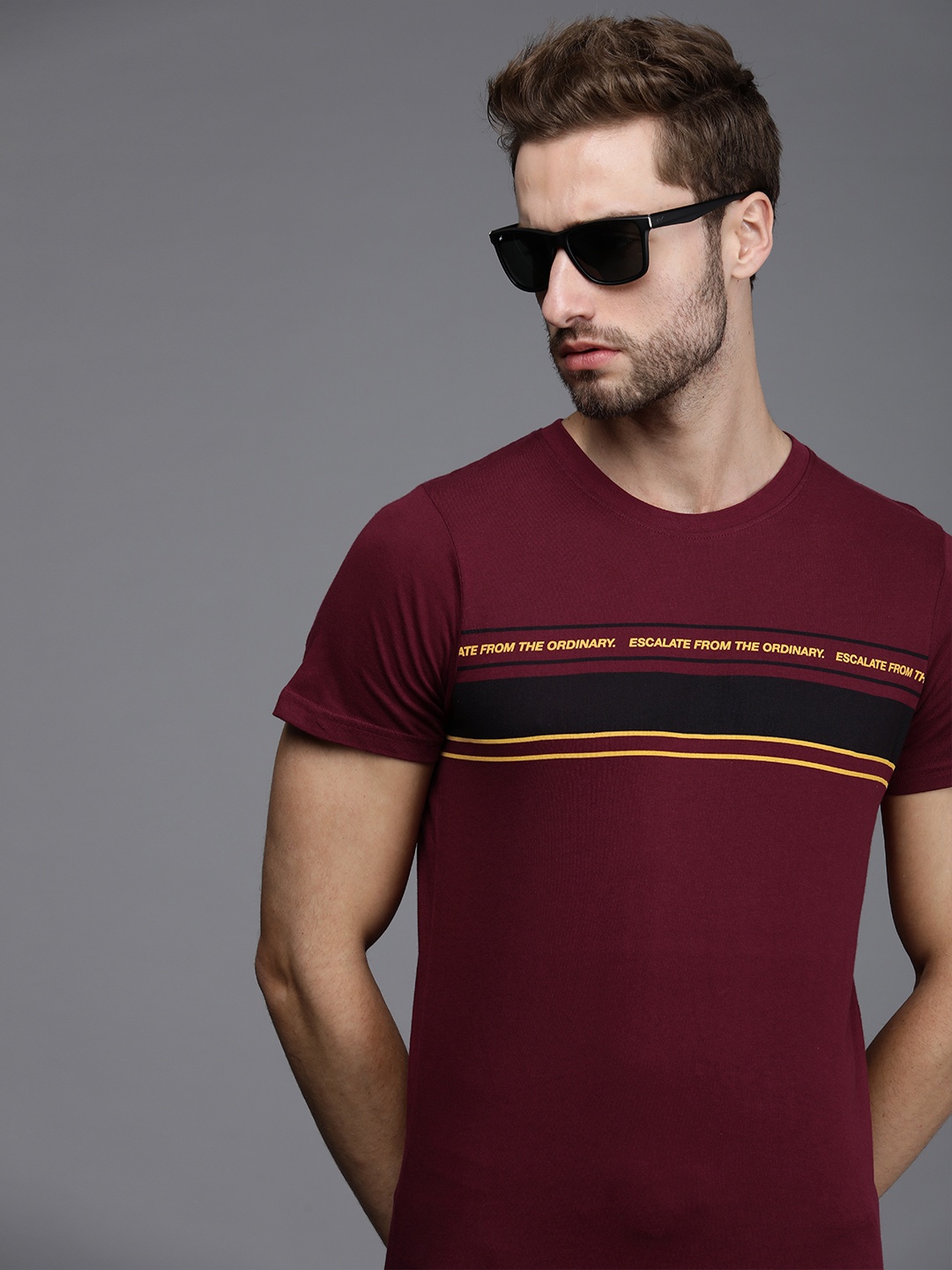 

WROGN Men Maroon Stripe Printed Pure Cotton Slim Fit T-shirt
