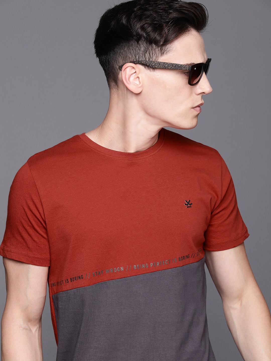 

WROGN Men Rust Red & Charcoal Grey Colourblocked Pure Cotton Slim Fit T-shirt
