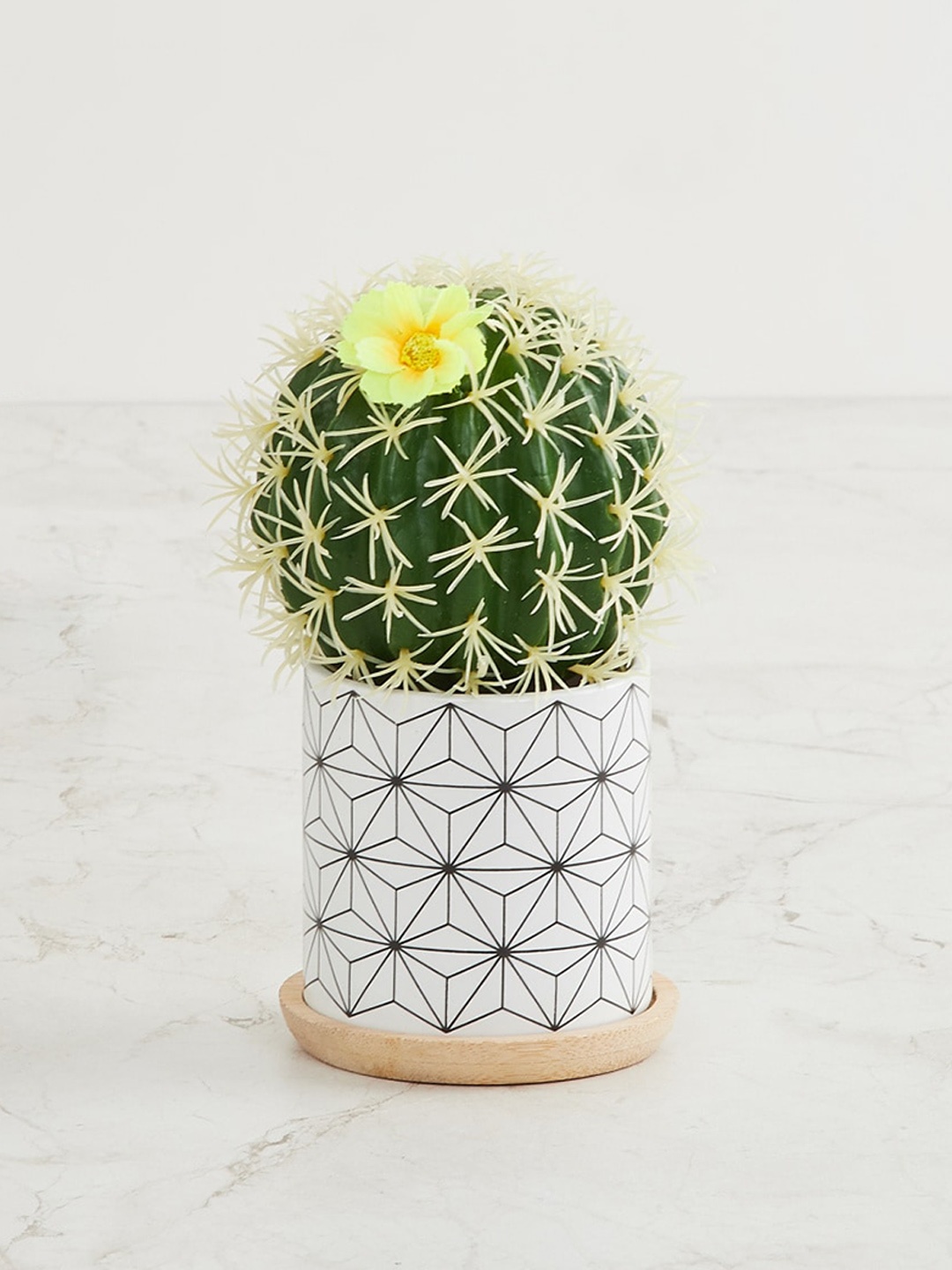 

Home Centre White & Green Printed Artificial Potted Plant