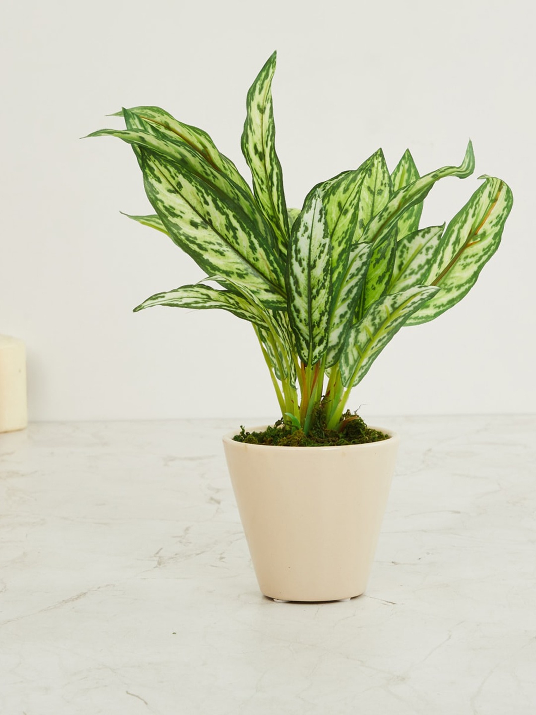 

Home Centre Beige Artificial Potted Plant