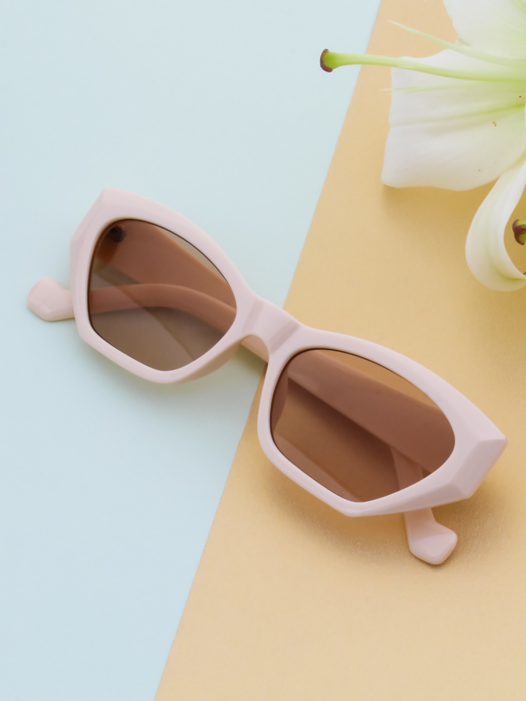 

Ted Smith Women Brown Lens & Brown Cateye Sunglasses with UV Protected Lens