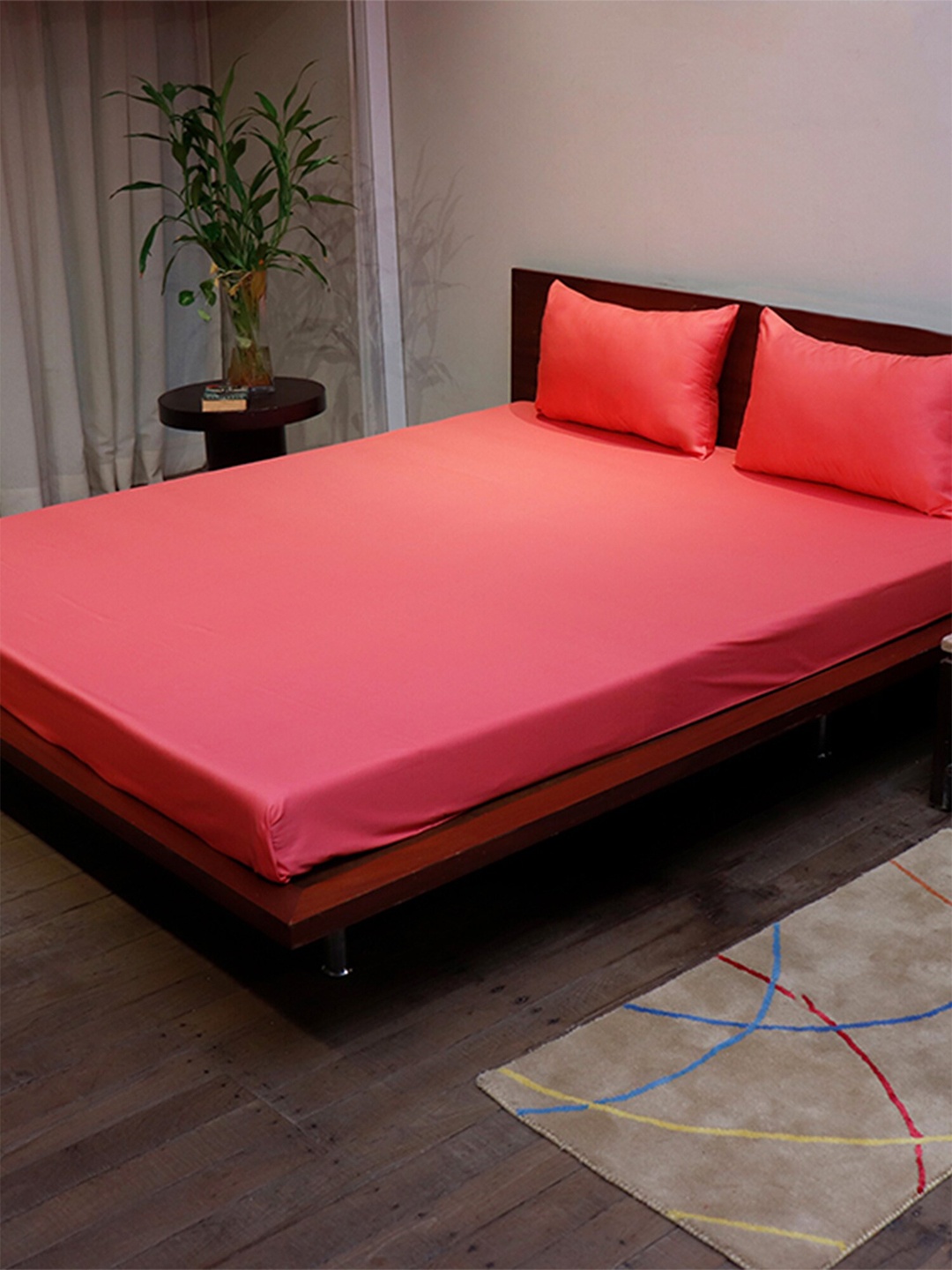 

ZEBA Coral 300 TC Cotton King Bedsheet with 2 Pillow Covers