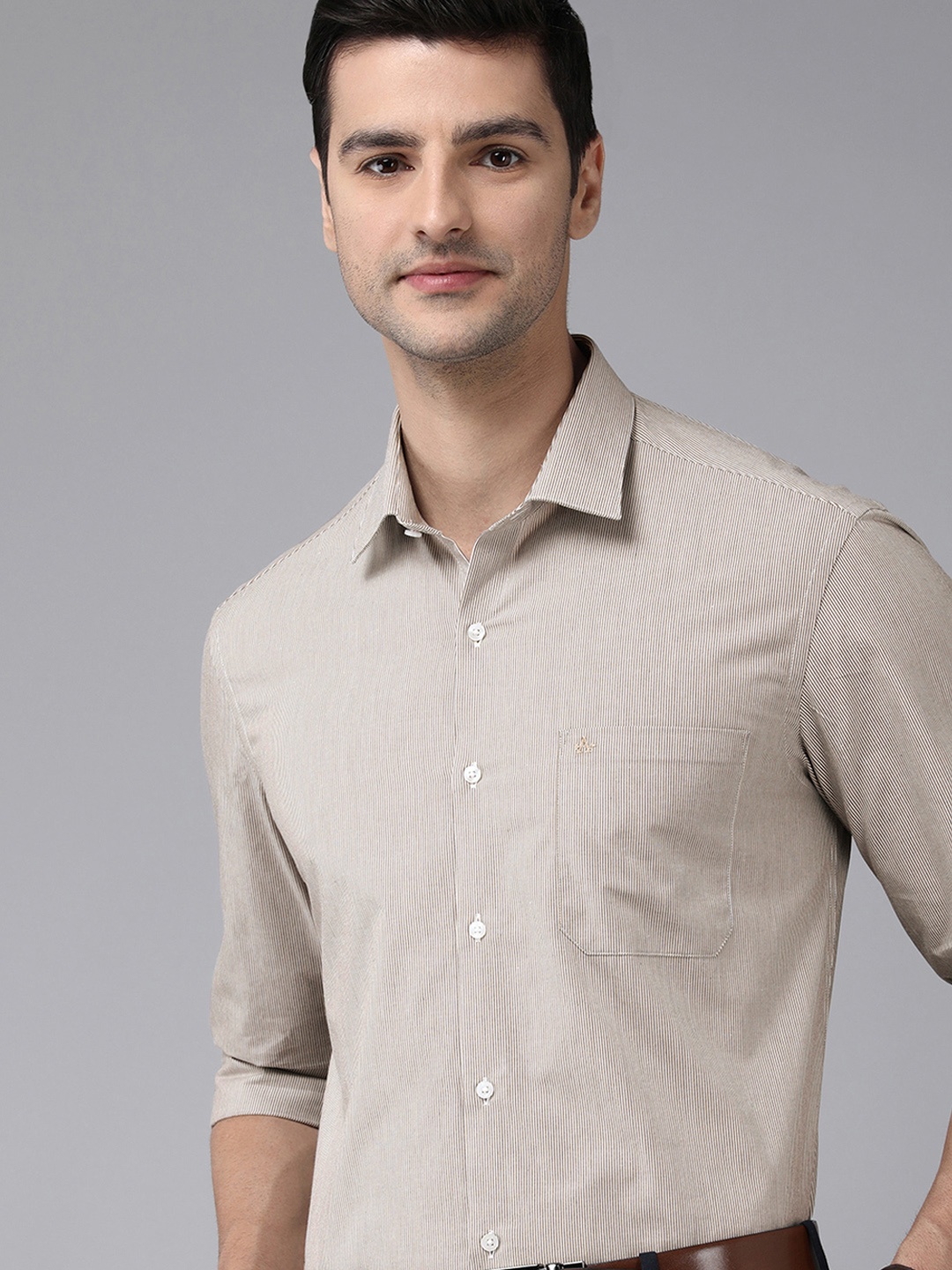 

Arrow Men Brown Manhattan Slim Fit Striped Pure Cotton Formal Shirt
