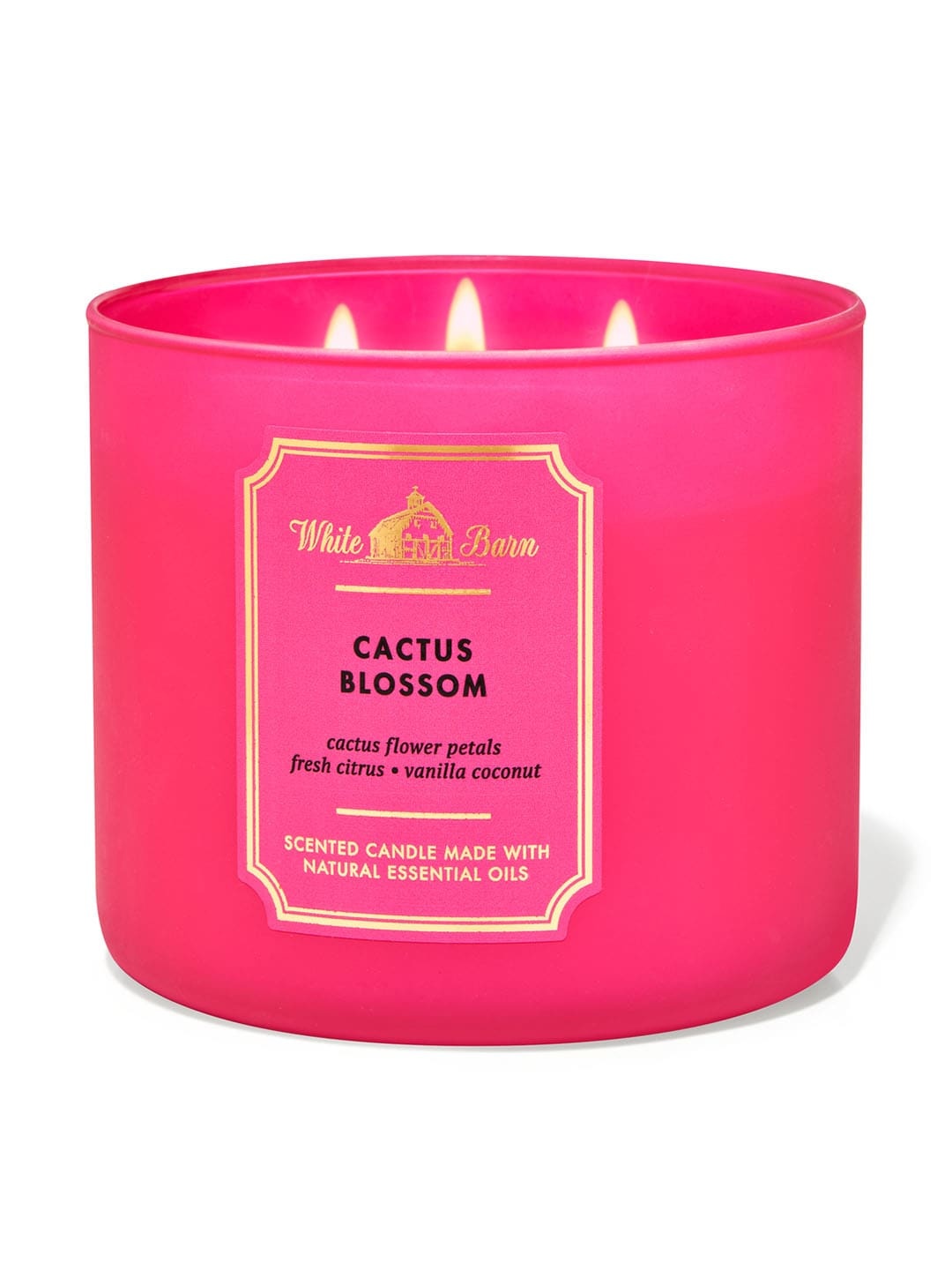 

Bath & Body Works Cactus Blossom 3-Wick Scented Candle - 411g, Pink