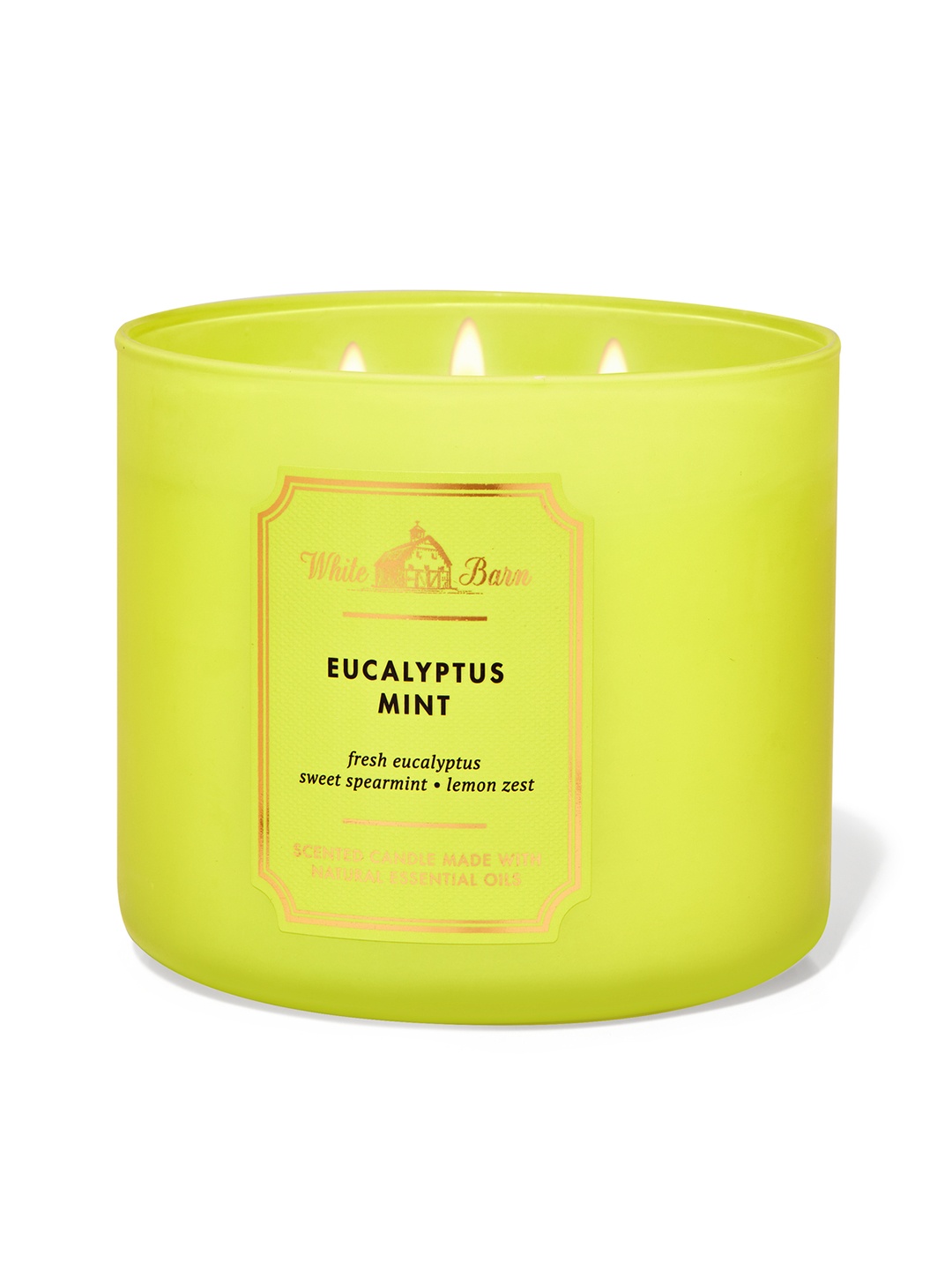 

Bath & Body Works Eucalyptus Mint 3-Wick Scented Candle with Essential Oils - 411 g, Green