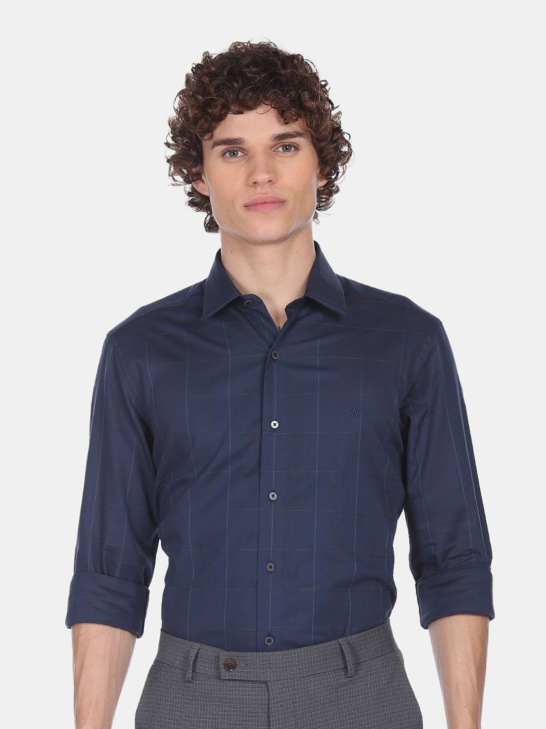 

Arrow Men Blue Checked Regular Fit Pure Cotton Formal Shirt