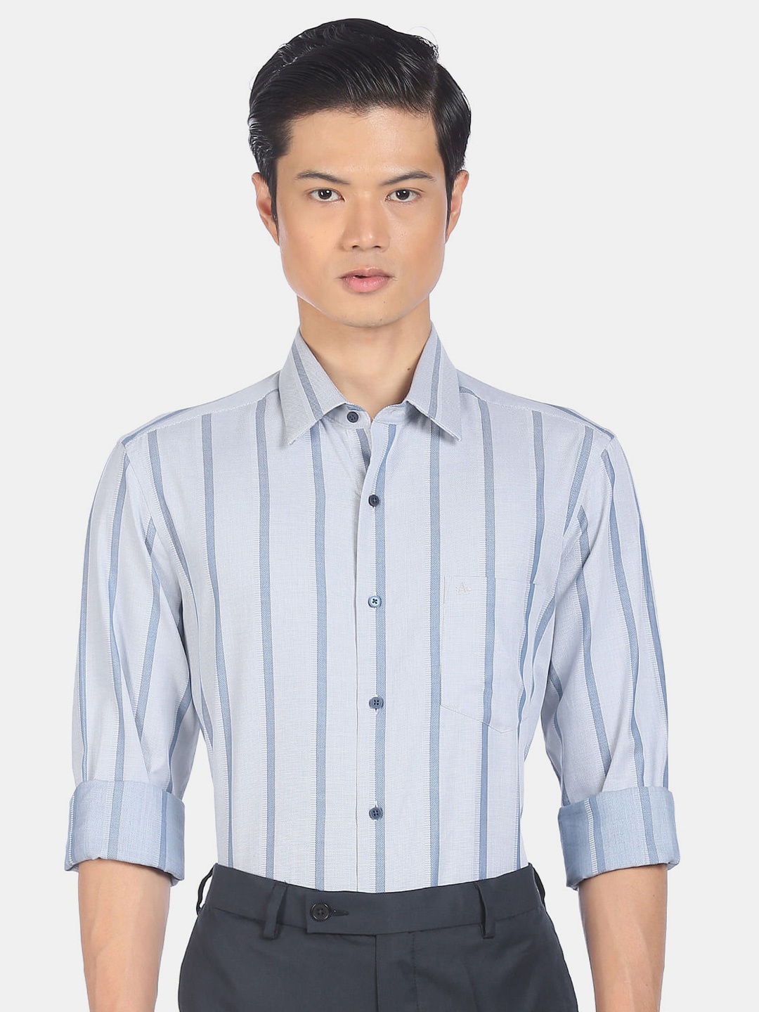 

Arrow Men Blue Slim Fit Striped Pure Cotton Casual Shirt