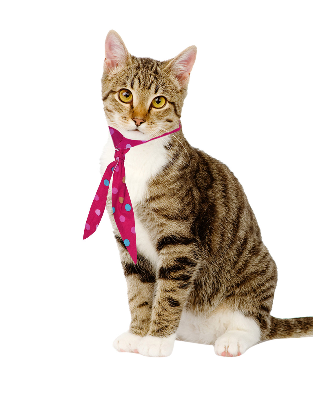 

Dchica Paws Fuchsia Pink & Blue Polka Dot Printed Cotton Dog & Cat Collar Tie