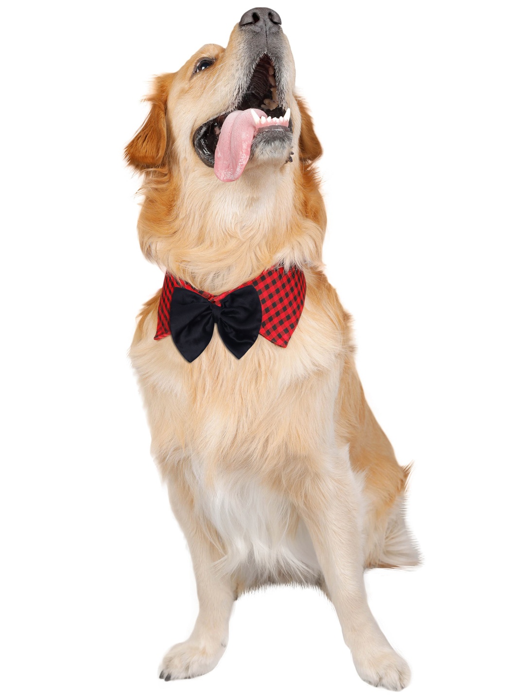 

Dchica Paws Red & Black Preppy Dude Checks Bow Collar For Dogs & Cats