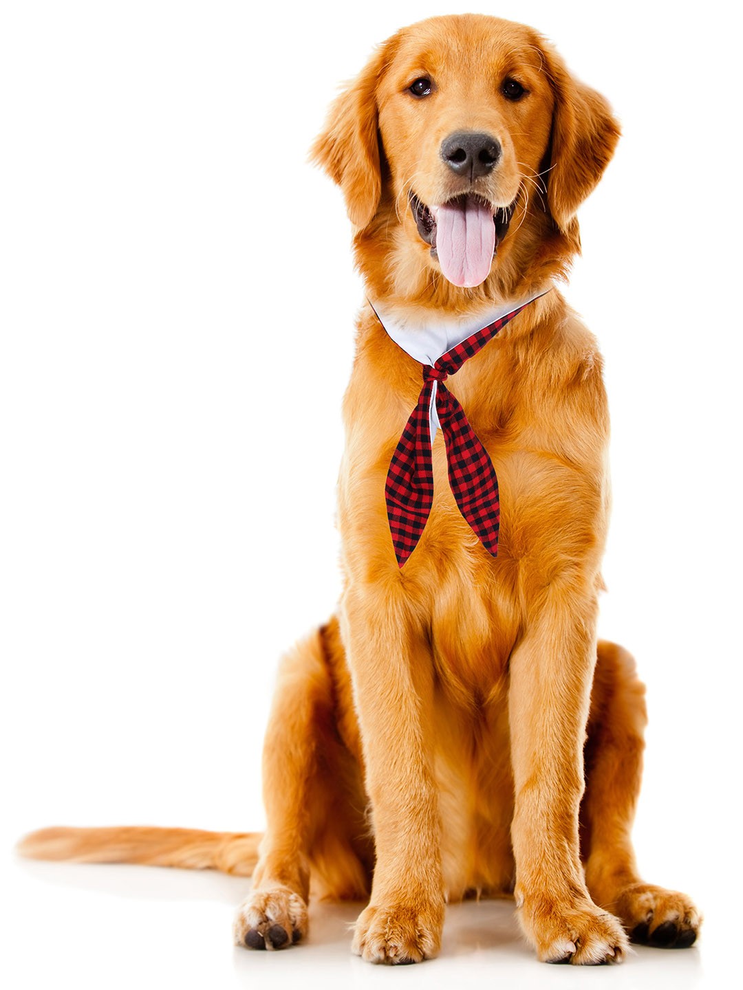

Dchica Paws Red & Black Checked Cotton Dog & Cat Collar Tie