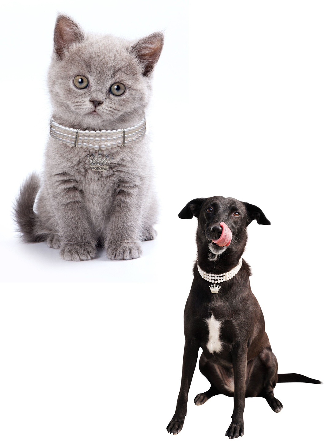 

Dchica Paws White Faux Pearl Collar Jewellery For Dog & Cats
