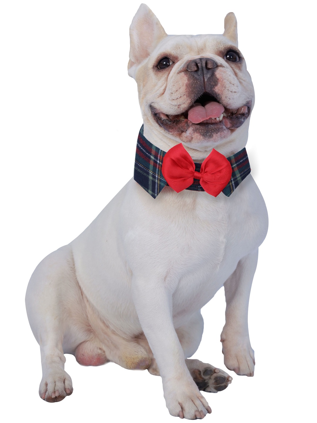 

Dchica Paws Black & Red Checked Cotton Dog & Cat Collar Tie