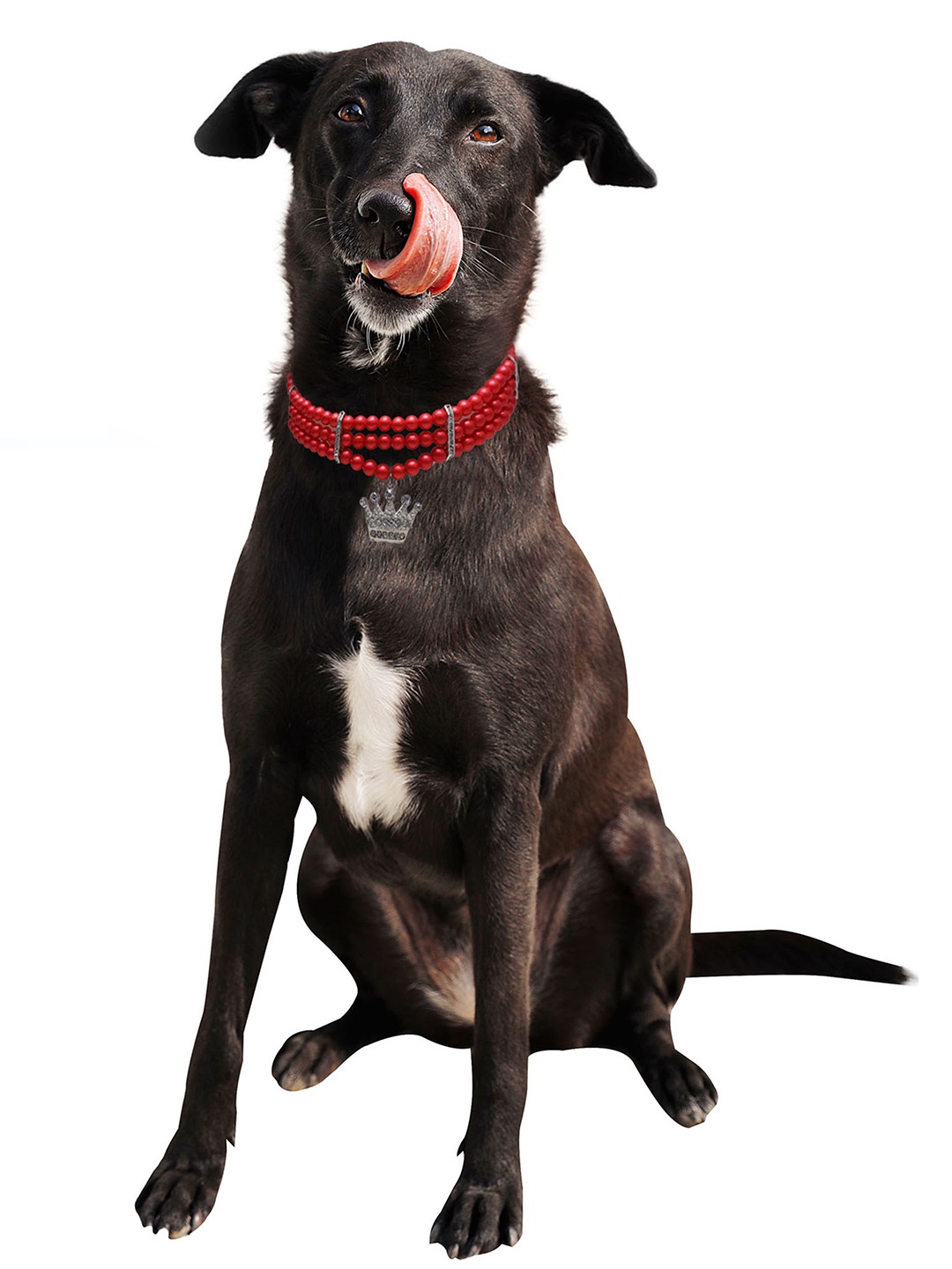 

Dchica Paws Dog Faux Pearl Collar Jewellery, Red