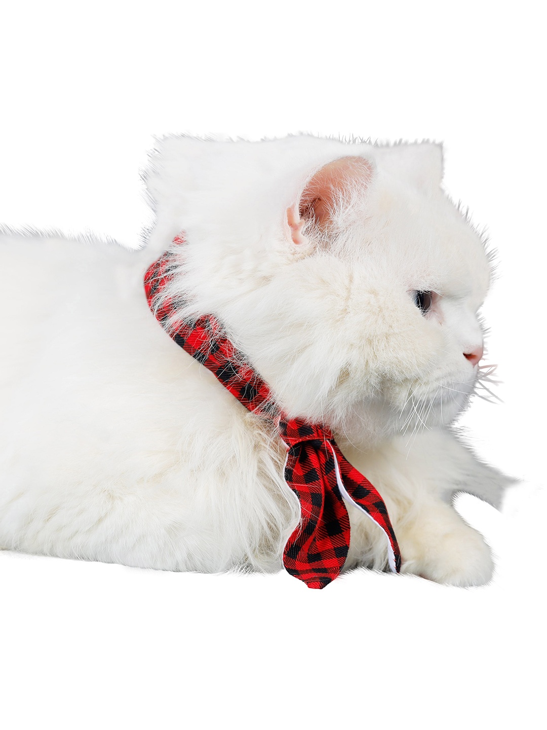 

Dchica Paws Red & Black Checked Cotton Handsome Dude Checks Collar Tie
