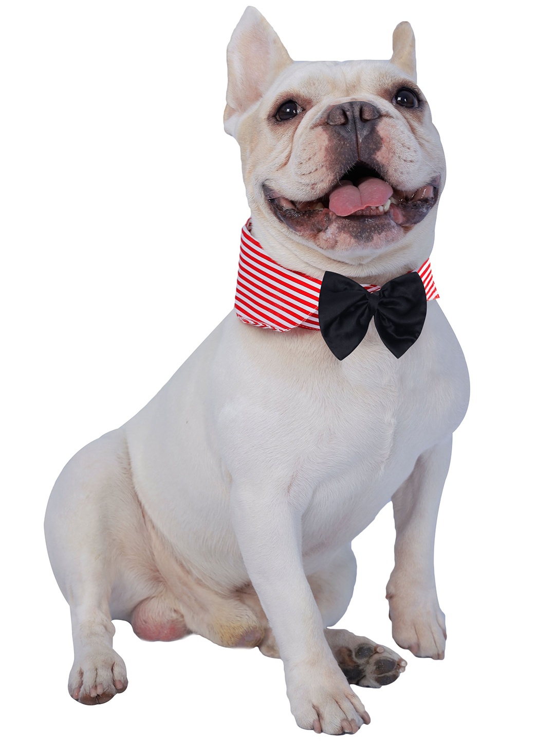 

Dchica Paws Red & White Striped Cotton Dog & Cat Bow Collar Tie