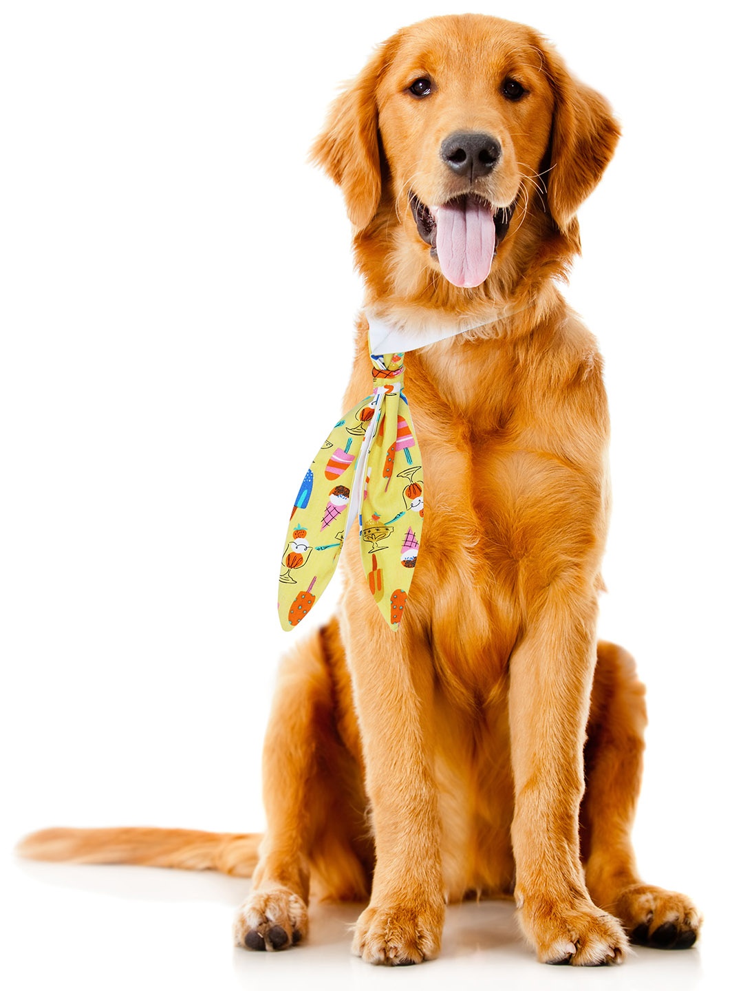 

Dchica Paws Unisex Yellow & Orange Graphic Printed Ice Cream Collar Tie