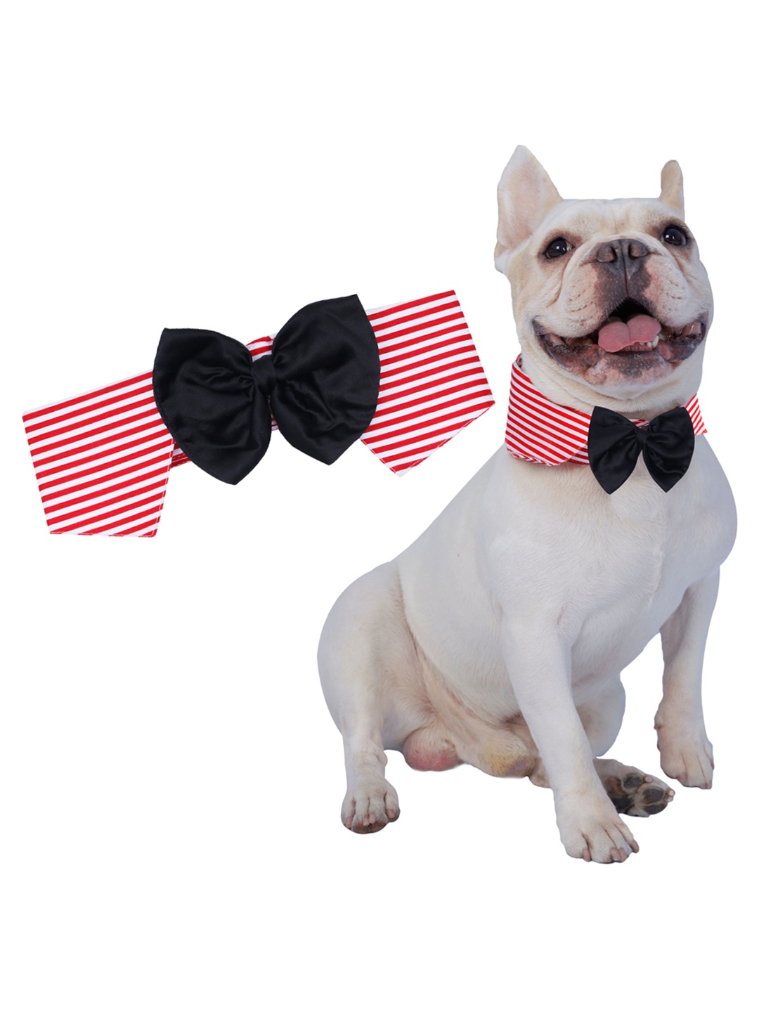 

Dchica Paws Red & White Graphic Printed Retro Dude Stripes & Black Bow Collar