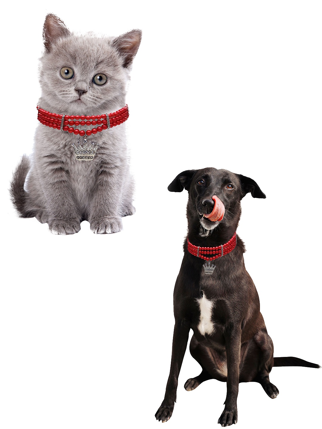 

Dchica Paws Red Faux Pearl Collar Jewllery
