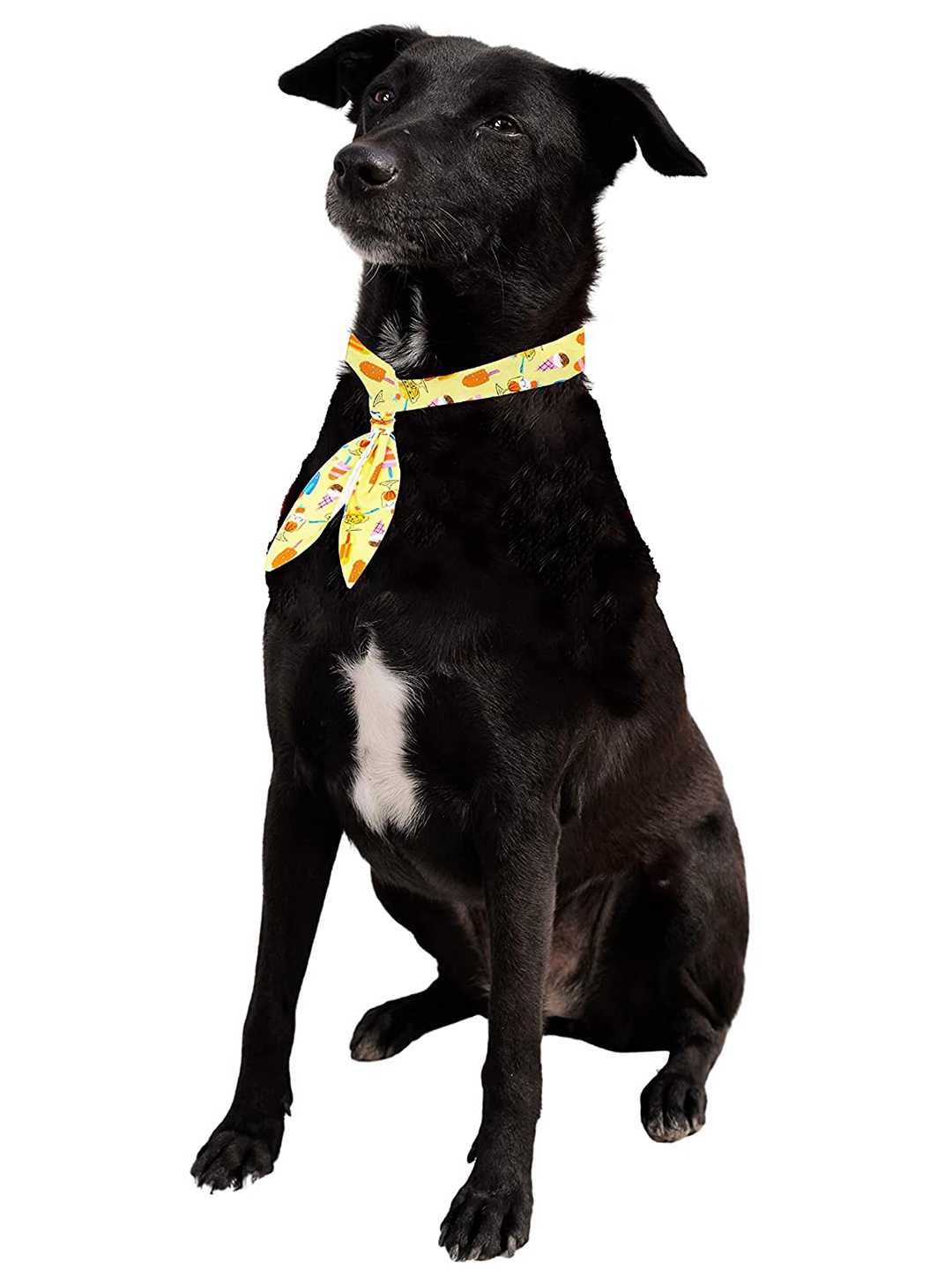 

Dchica Paws Yellow & Pink Printed Cotton Dog & Cat Collar Tie