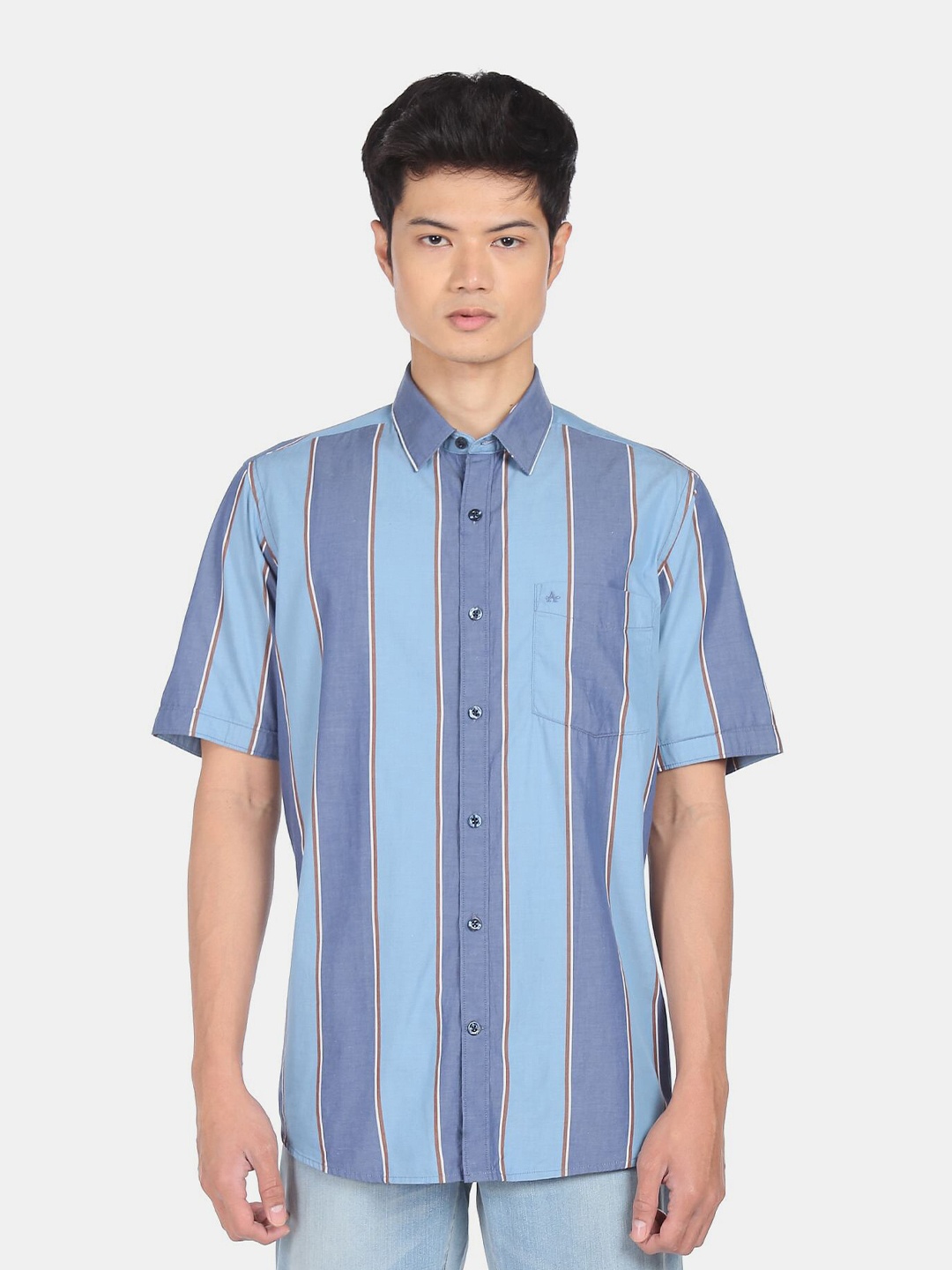 

Arrow Men Blue Striped Pure Cotton Regular Fit Casual Shirt