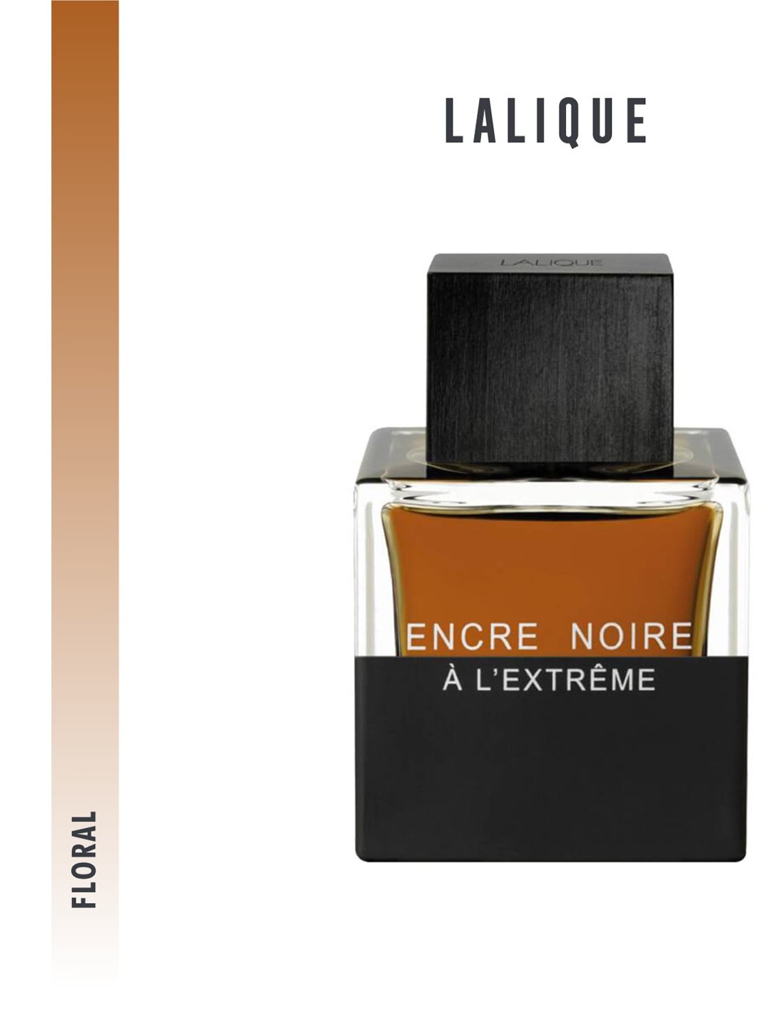 

Lalique Men Encre Noire L'Extrme Pour Homme Eau De Parfum - 100 ml, Brown