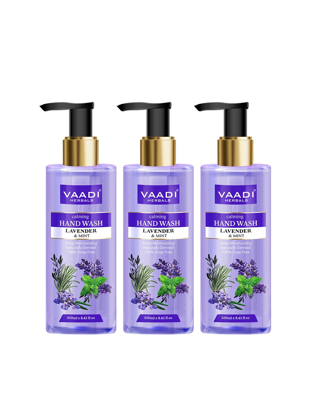 

Vaadi Herbals Set of 3 Calming Lavender & Mint Hand Washes - 250ml each, Purple