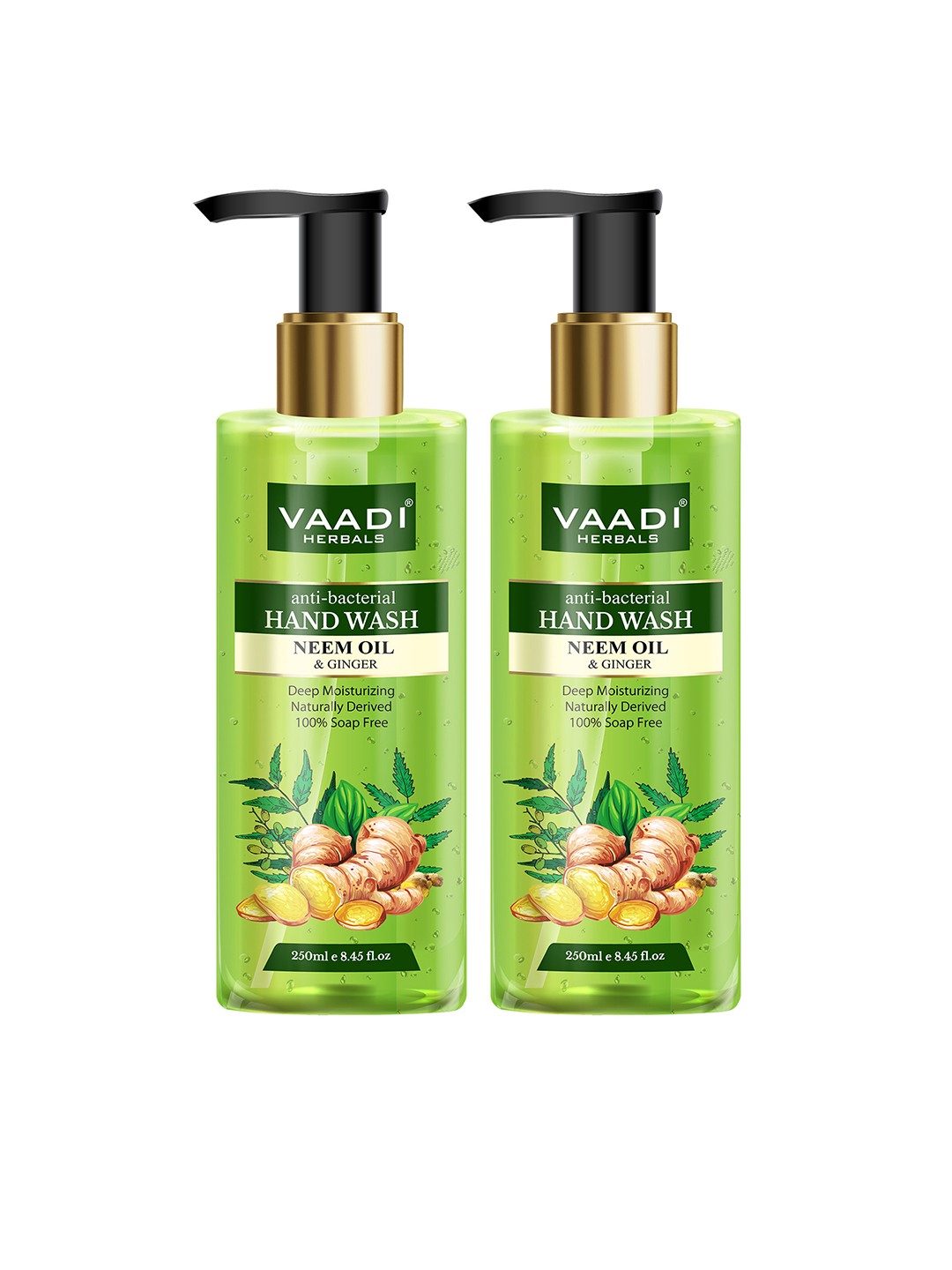 

Vaadi Herbals Set of 2 Anti-Bacterial Neem Oil & Ginger Hand Wash - 250 ml Each, Green