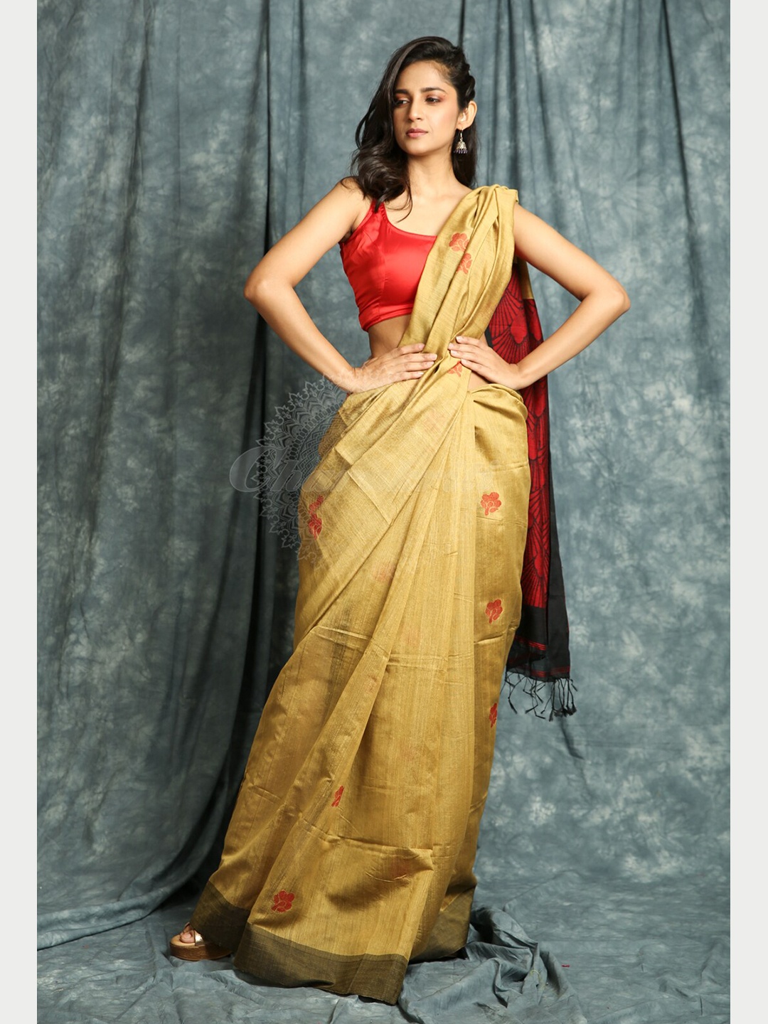 

Charukriti Beige & Red Floral Woven Dseign Handloom Saree