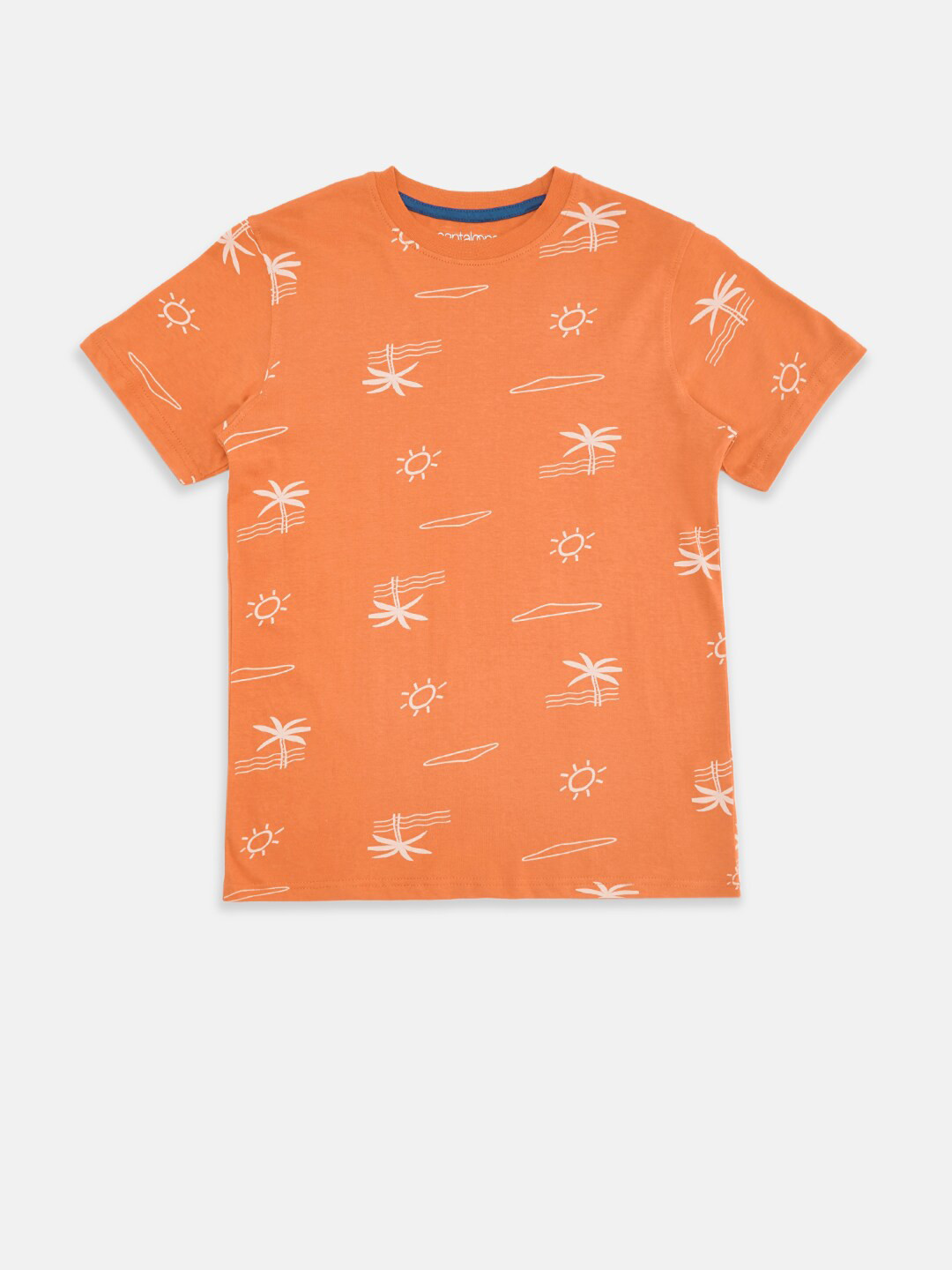 

Pantaloons Junior Boys Rust Printed Pure Cotton T-shirt