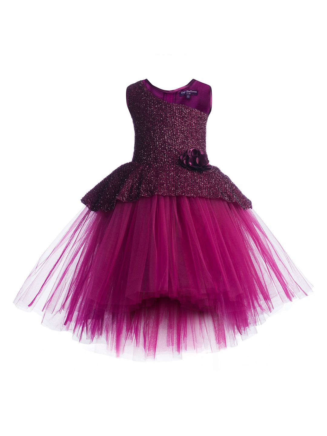 

Toy Balloon kids Violet Layered Net Dress