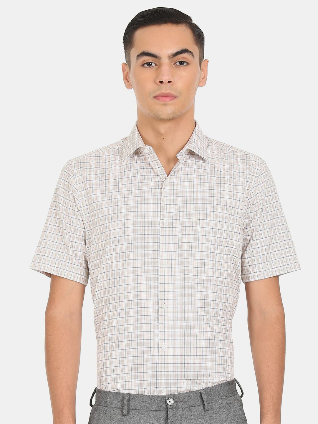 

Arrow Men Beige Checked Formal Shirt