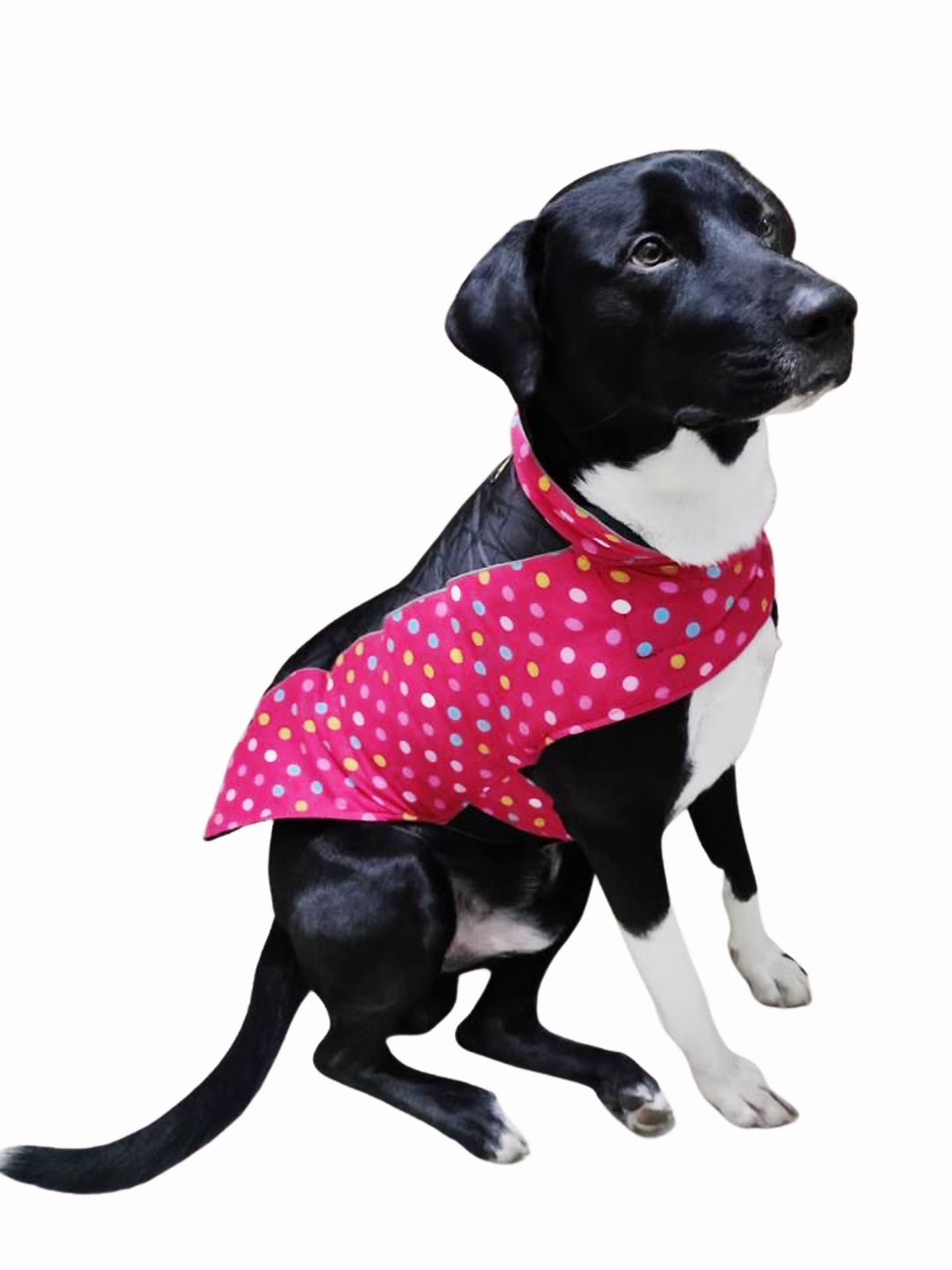 

Dchica Paws Pink & Black Solid Reversible Quilted Dog & Cat Tuxedo Jacket