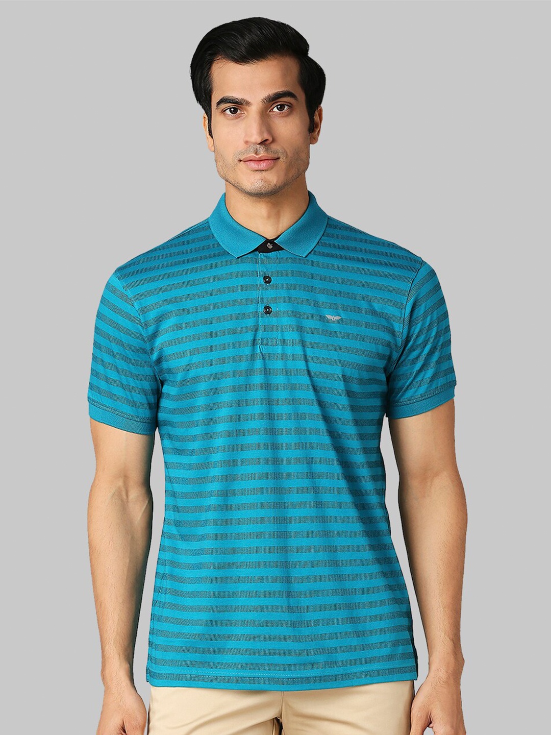 

Park Avenue Men Green Striped Polo Collar Cotton Slim Fit T-shirt