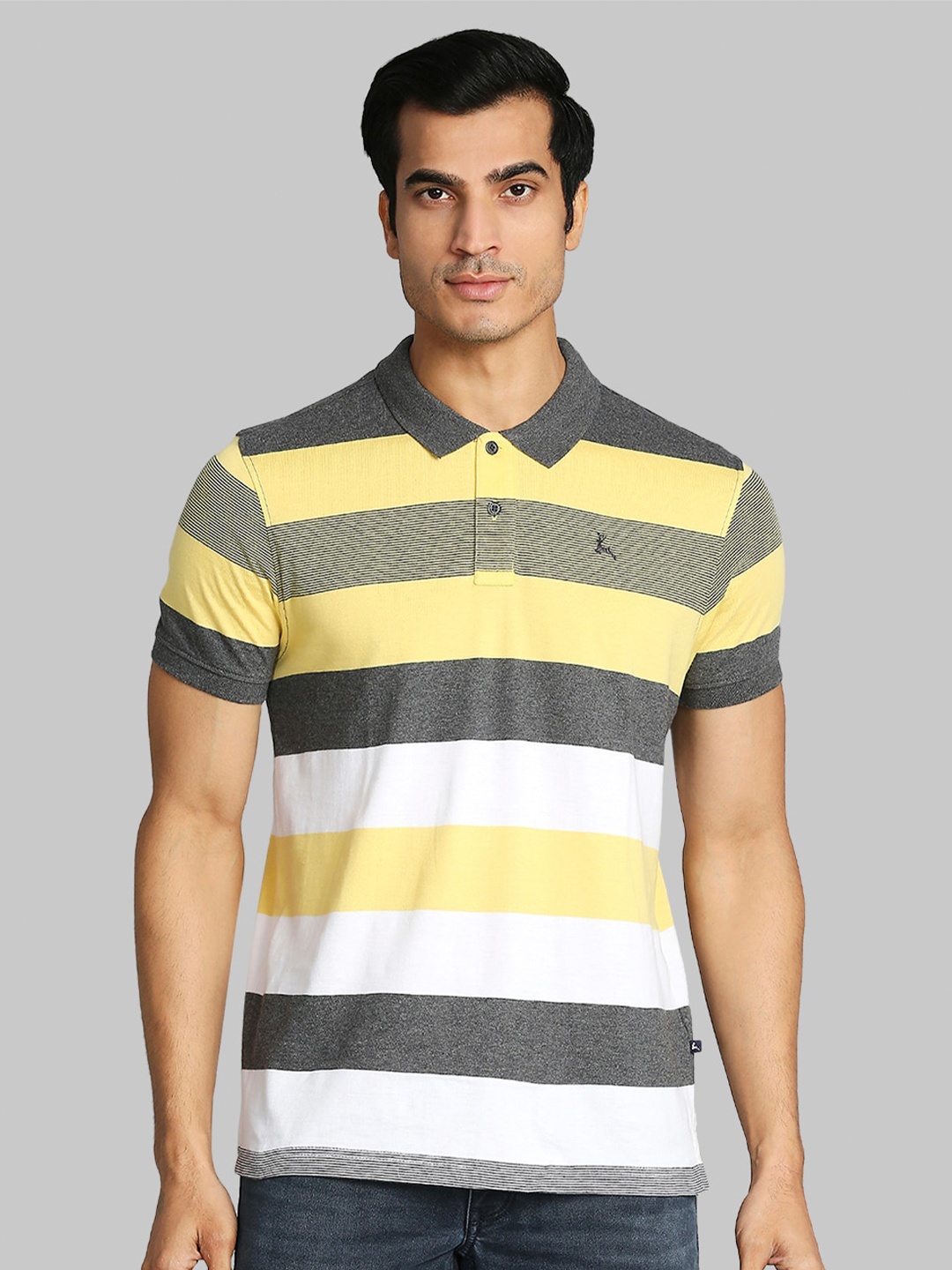 

Parx Men Grey Striped Polo Collar T-shirt