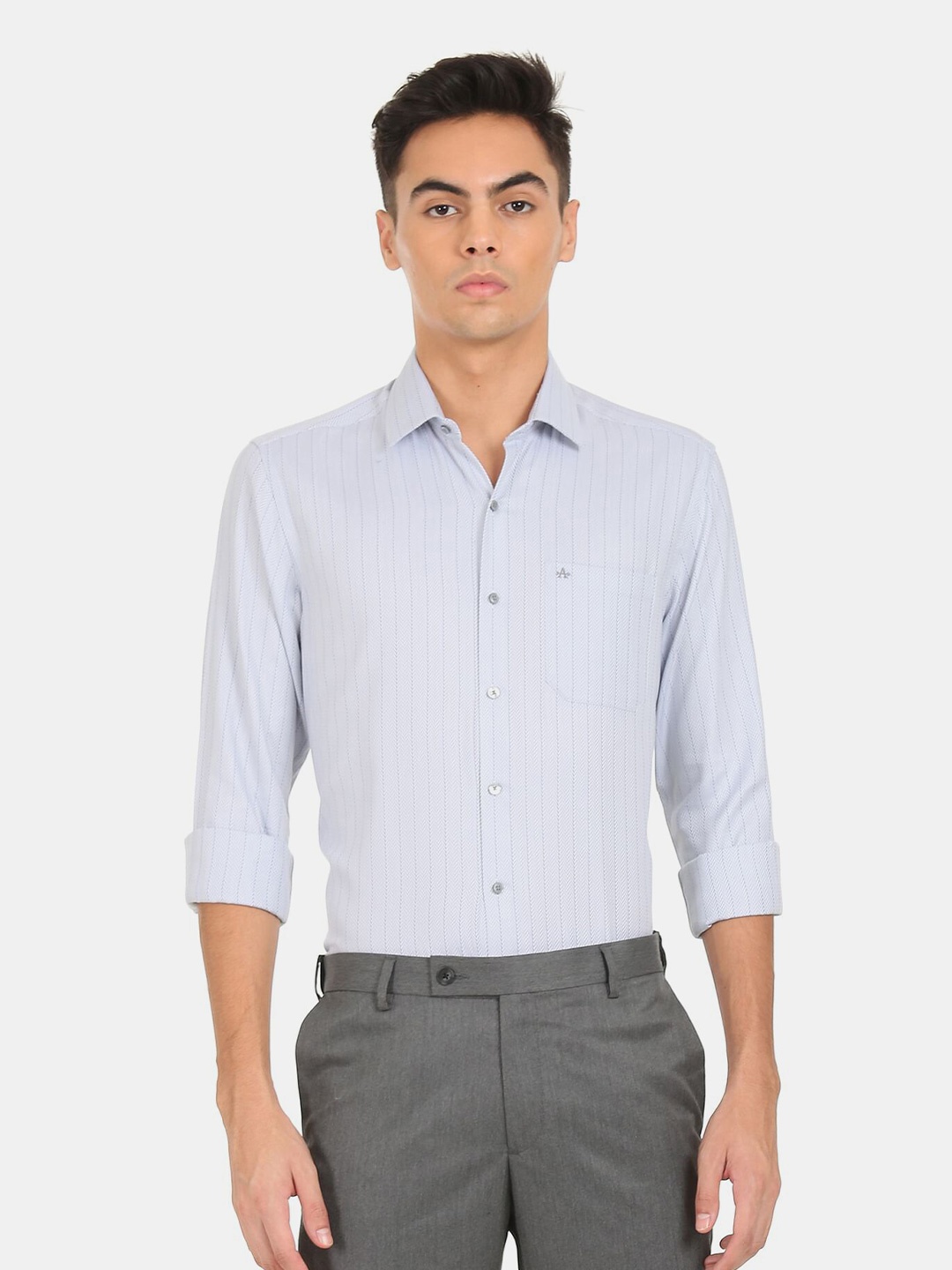 

Arrow Men Grey Striped Pure Cotton Formal Shirt