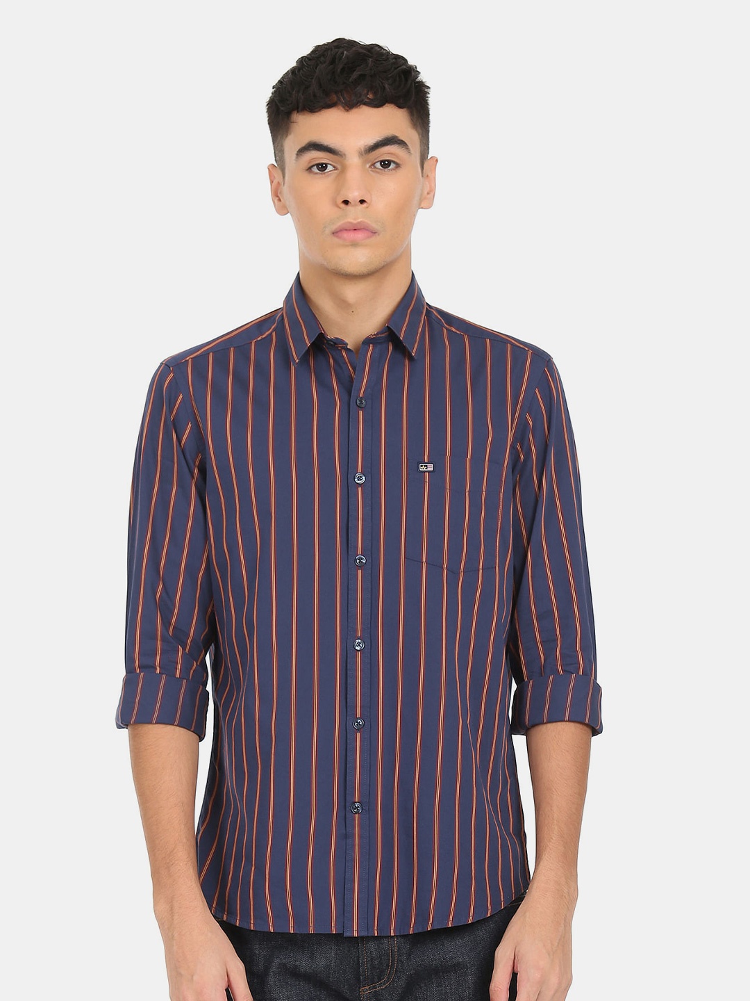 

Arrow Sport Men Blue Striped Casual Shirt