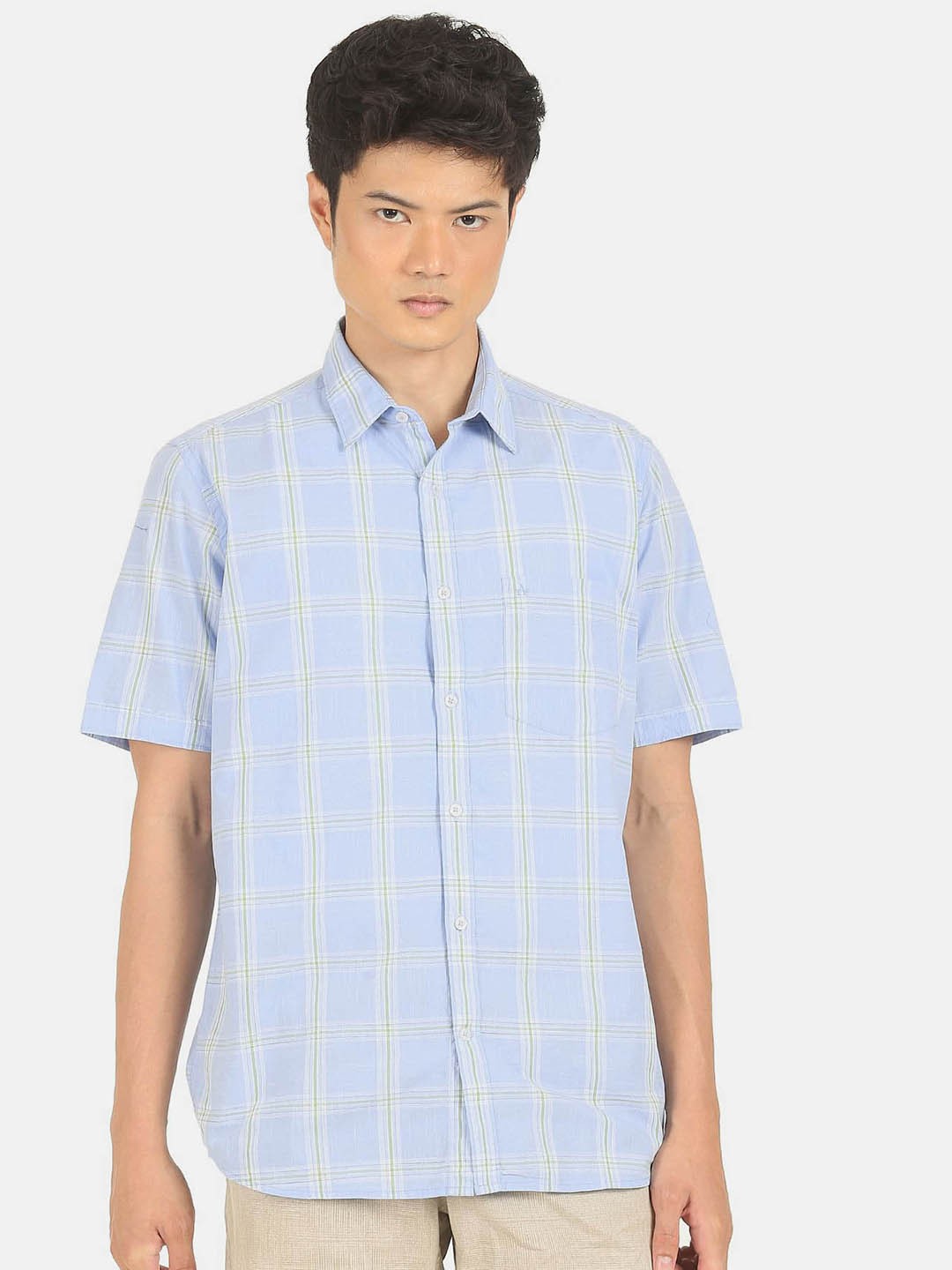 

Arrow Sport Men Blue & Green Checked Pure Cotton Casual Shirt