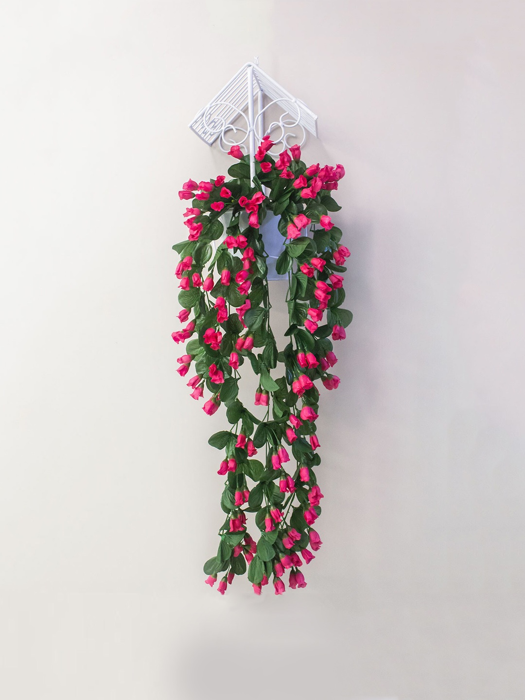 

AMFLIX Pink Hanging Hanging Creeper Plants