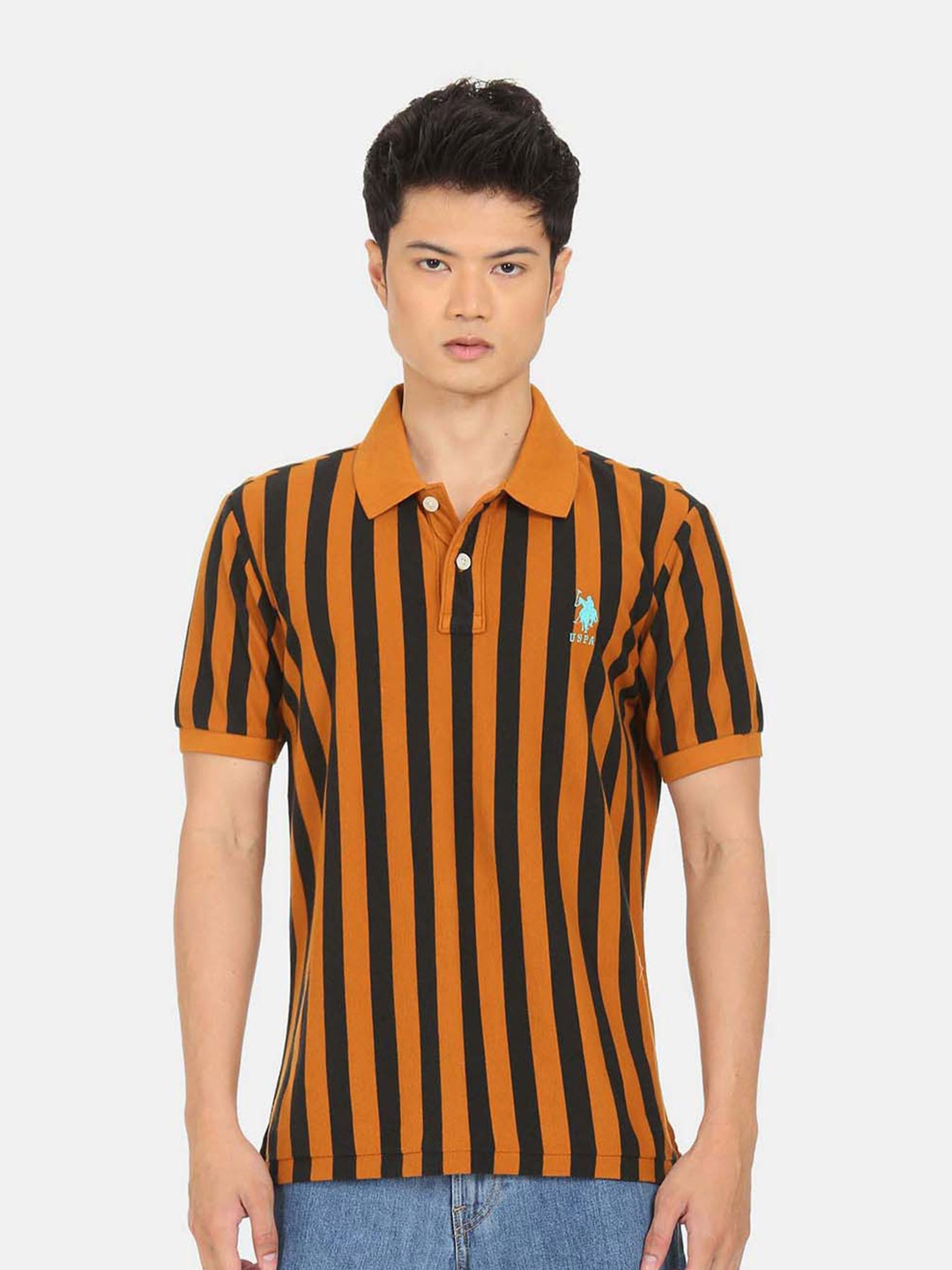 

U S Polo Assn Men Brown & Black Striped Polo Collar T-shirt