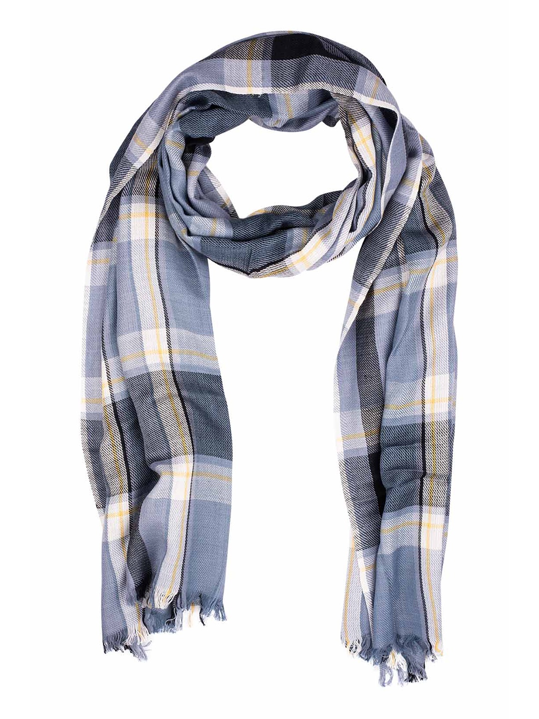 

The Tie Hub Men Blue & White Checked Scarf