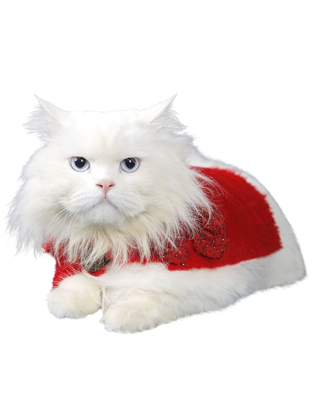 

Dchica Paws Red Fur Winter Collar For Cats