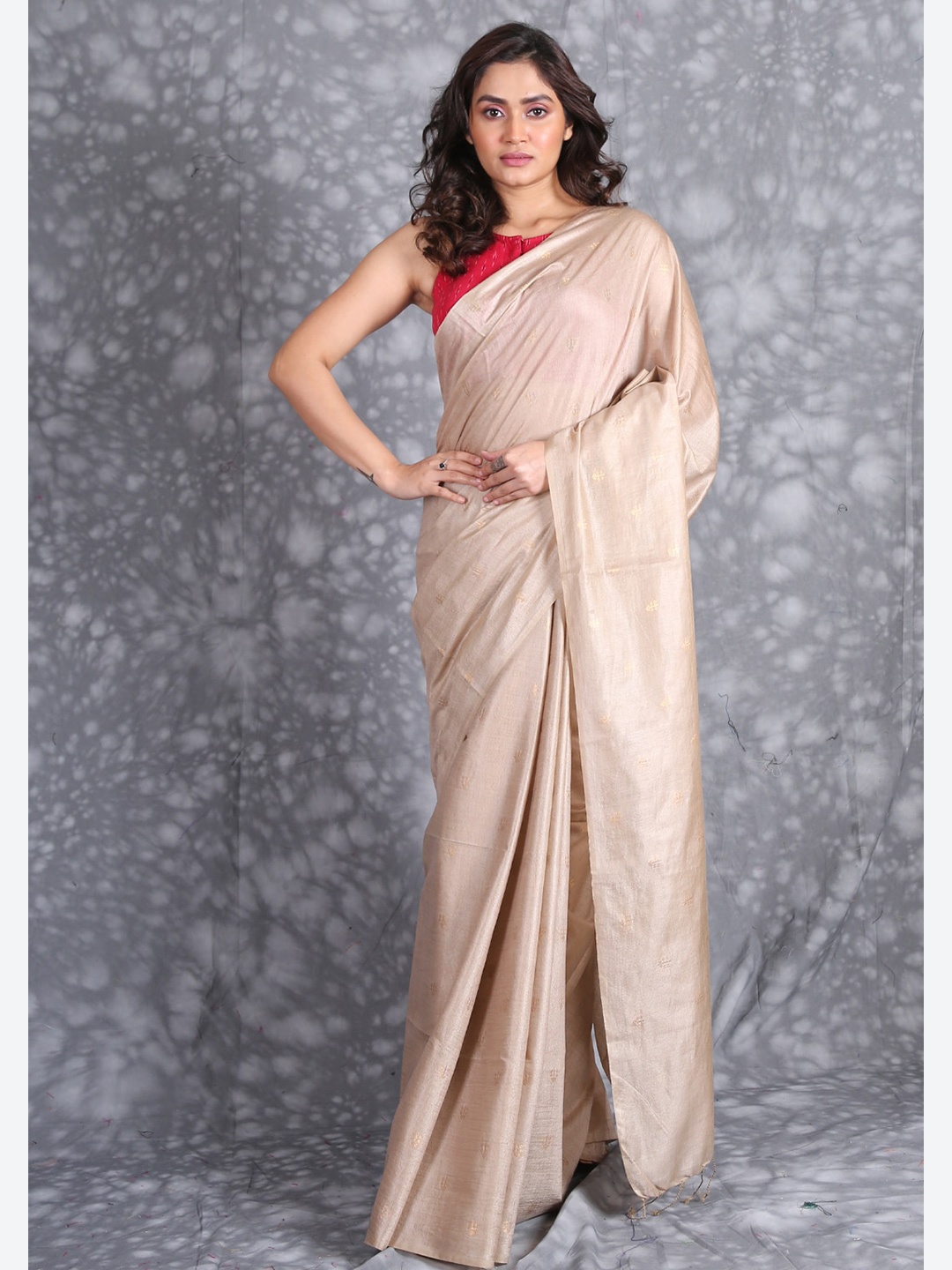 

Charukriti Beige & Gold-Toned Woven Design Zari Pure Silk Saree