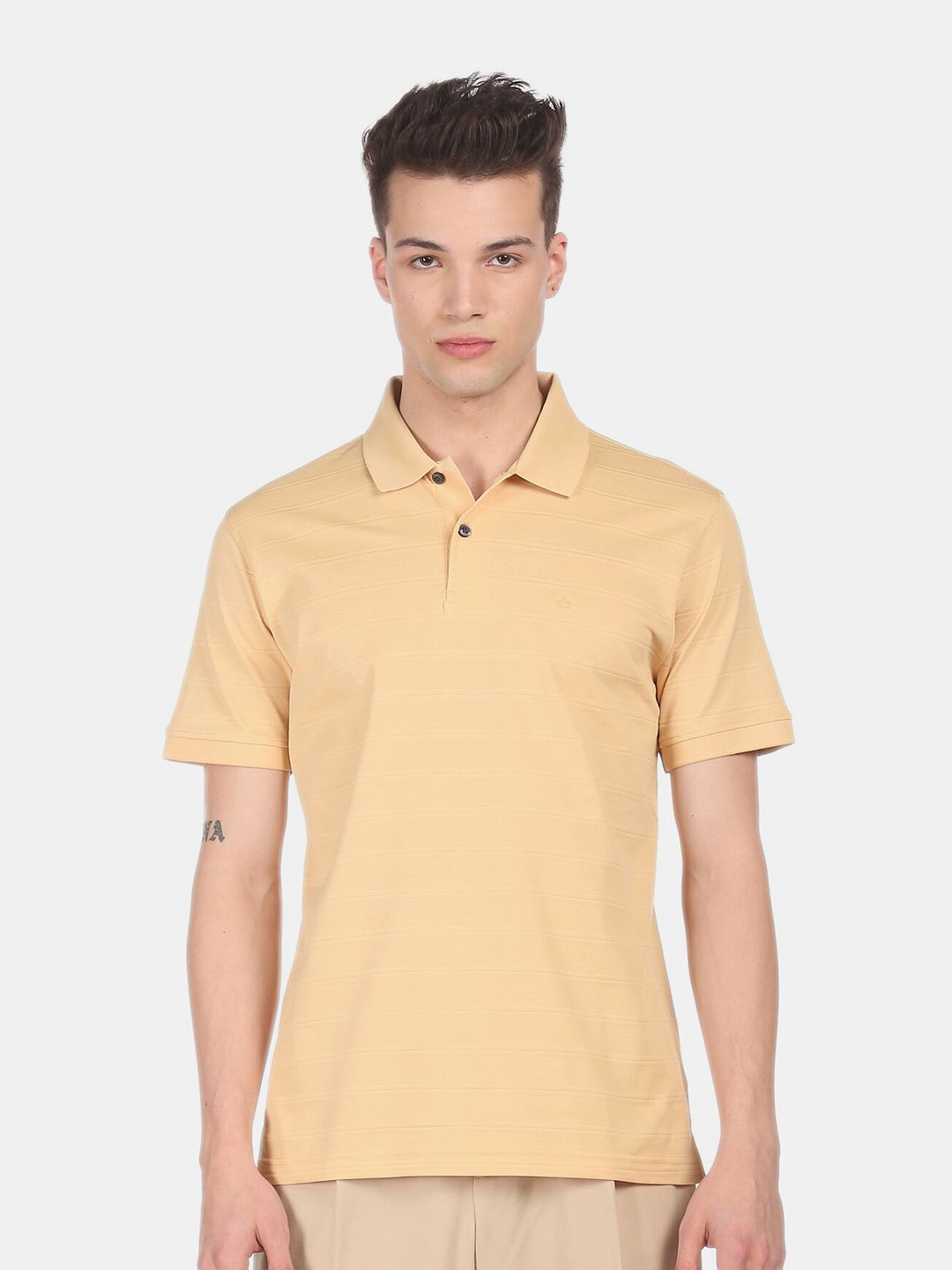 

Arrow Men Beige Polo T-shirt