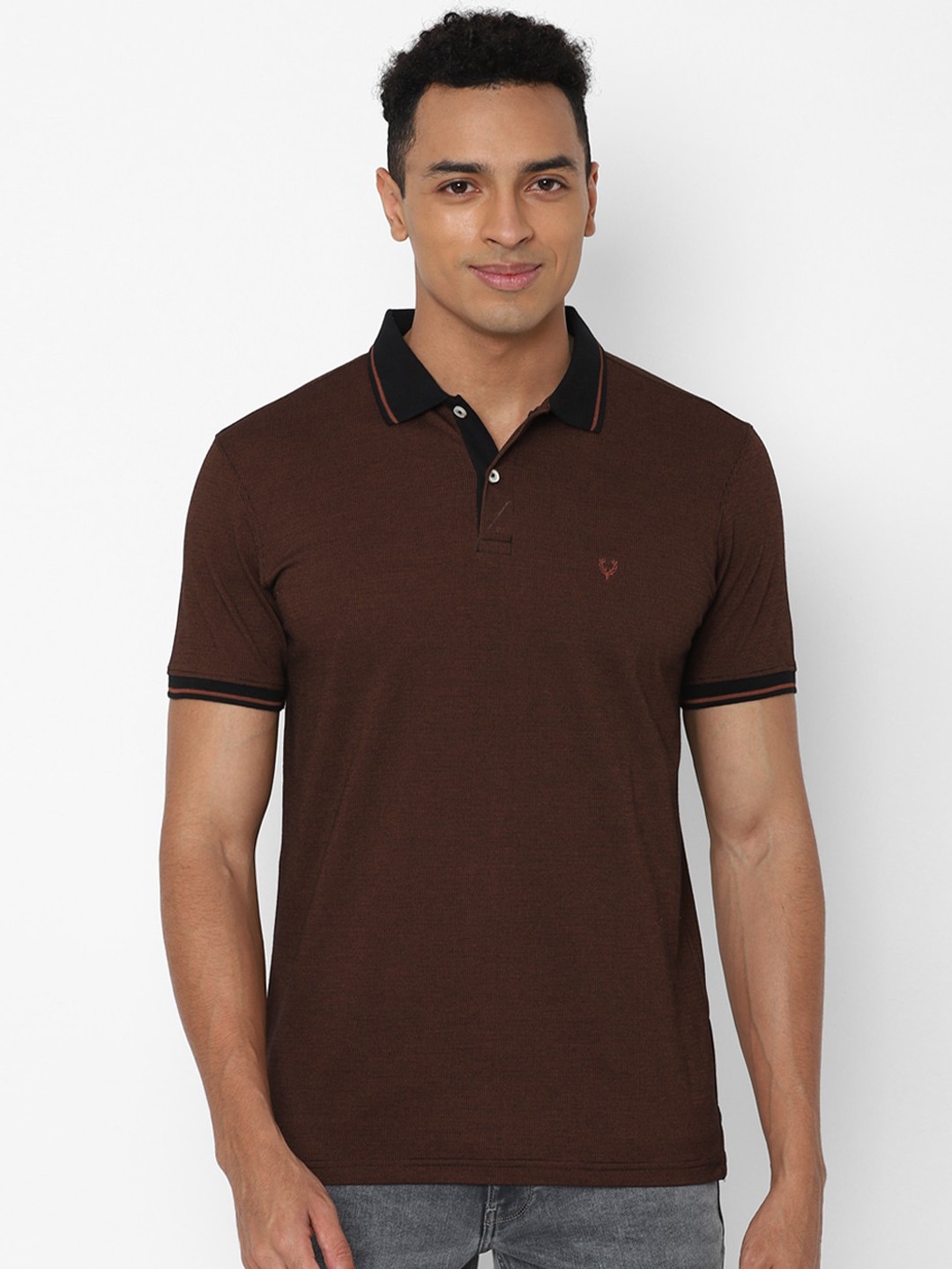 

Allen Solly Men Brown Solid Polo Collar Regular Fit T-shirt