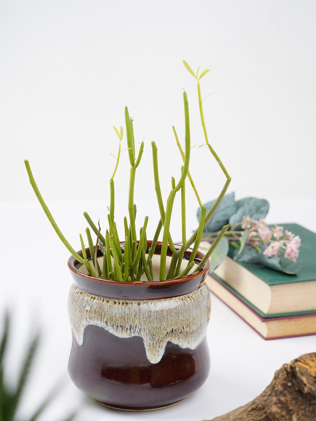 

Folkstorys Brown & Beige Textured Planter