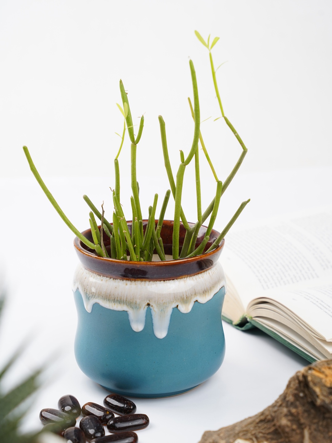 

Folkstorys Blue & White Little Pile Ocean Pot Planters